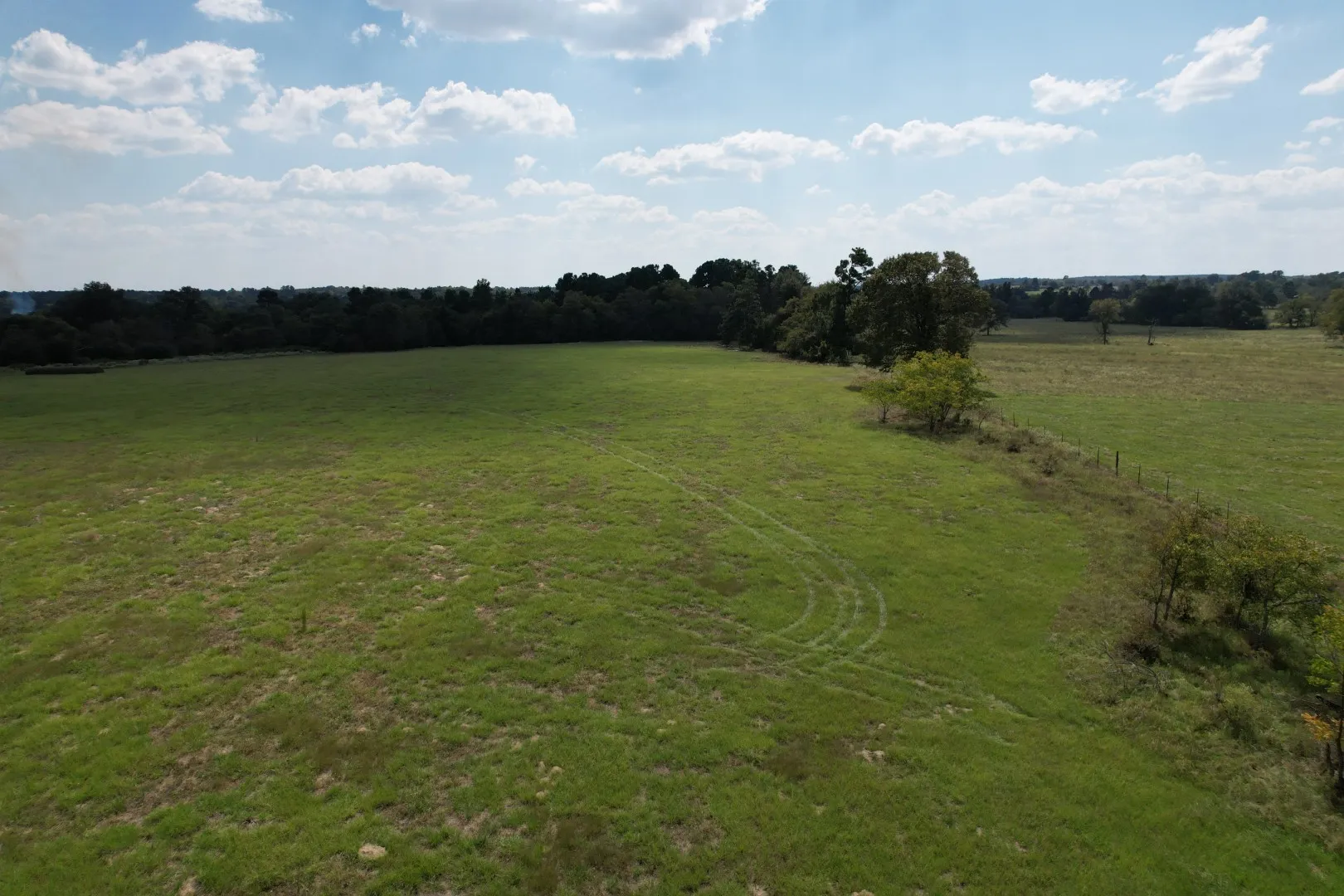 Unimproved Land For Sale in Anderson County , TBD CR 435, Frankston, Texas 75763, 0, 0, Garage spaces, 0 Sqft, built in 0, Price $395,000, mls#21362774, Real Estate Agent in Frankston, Homes For Sale in Anderson county, Homes For Sale in Frankston, Realtor in Frankston Texas, Real Estate Brokerage Independent Realty Texas, Luminita Cordes Realtor