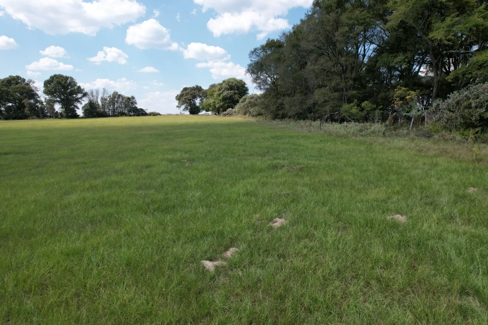 Unimproved Land For Sale in Anderson County , TBD CR 435, Frankston, Texas 75763, 0, 0, Garage spaces, 0 Sqft, built in 0, Price $395,000, mls#21362774, Real Estate Agent in Frankston, Homes For Sale in Anderson county, Homes For Sale in Frankston, Realtor in Frankston Texas, Real Estate Brokerage Independent Realty Texas, Luminita Cordes Realtor