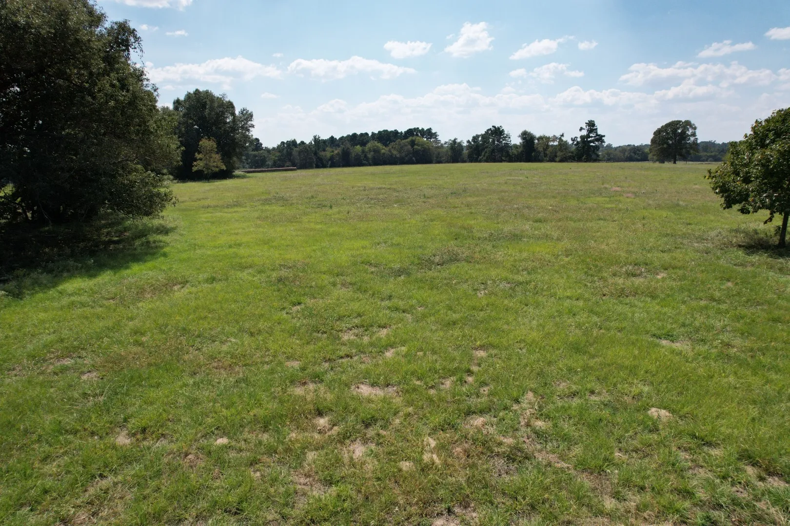 Unimproved Land For Sale in Anderson County , TBD CR 435, Frankston, Texas 75763, 0, 0, Garage spaces, 0 Sqft, built in 0, Price $395,000, mls#21362774, Real Estate Agent in Frankston, Homes For Sale in Anderson county, Homes For Sale in Frankston, Realtor in Frankston Texas, Real Estate Brokerage Independent Realty Texas, Luminita Cordes Realtor