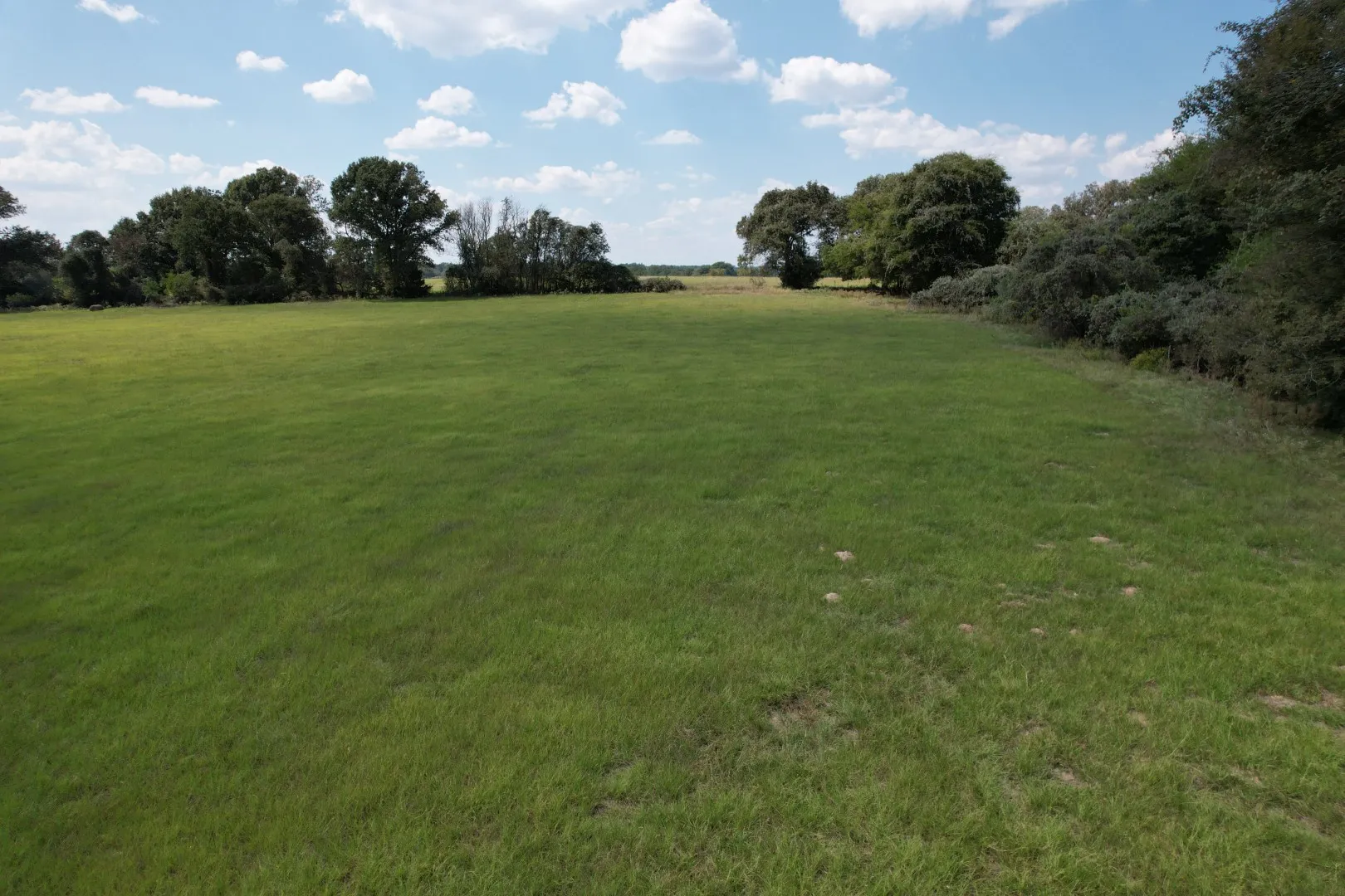 Unimproved Land For Sale in Anderson County , TBD CR 435, Frankston, Texas 75763, 0, 0, Garage spaces, 0 Sqft, built in 0, Price $395,000, mls#21362774, Real Estate Agent in Frankston, Homes For Sale in Anderson county, Homes For Sale in Frankston, Realtor in Frankston Texas, Real Estate Brokerage Independent Realty Texas, Luminita Cordes Realtor