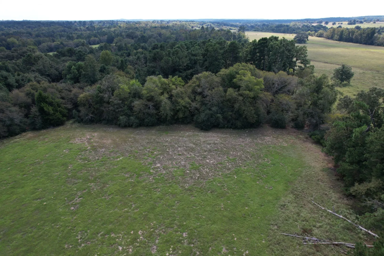 Unimproved Land For Sale in Anderson County , TBD CR 435, Frankston, Texas 75763, 0, 0, Garage spaces, 0 Sqft, built in 0, Price $395,000, mls#21362774, Real Estate Agent in Frankston, Homes For Sale in Anderson county, Homes For Sale in Frankston, Realtor in Frankston Texas, Real Estate Brokerage Independent Realty Texas, Luminita Cordes Realtor