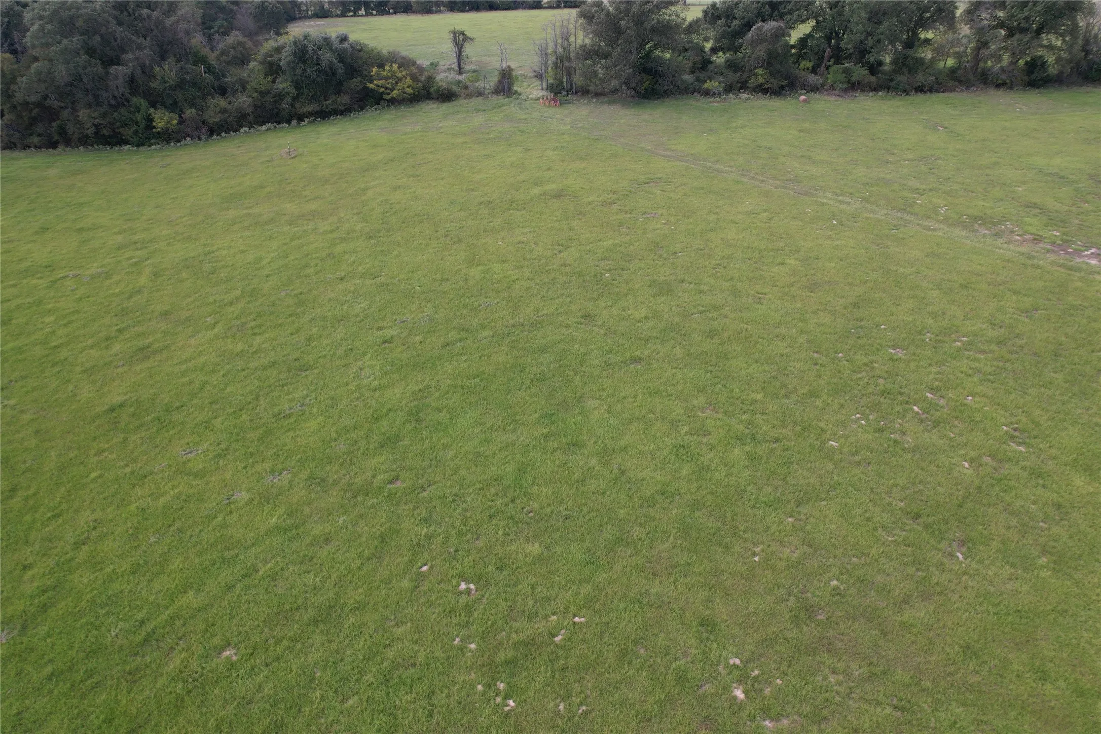 Unimproved Land For Sale in Anderson County , TBD CR 435, Frankston, Texas 75763, 0, 0, Garage spaces, 0 Sqft, built in 0, Price $395,000, mls#21362774, Real Estate Agent in Frankston, Homes For Sale in Anderson county, Homes For Sale in Frankston, Realtor in Frankston Texas, Real Estate Brokerage Independent Realty Texas, Luminita Cordes Realtor