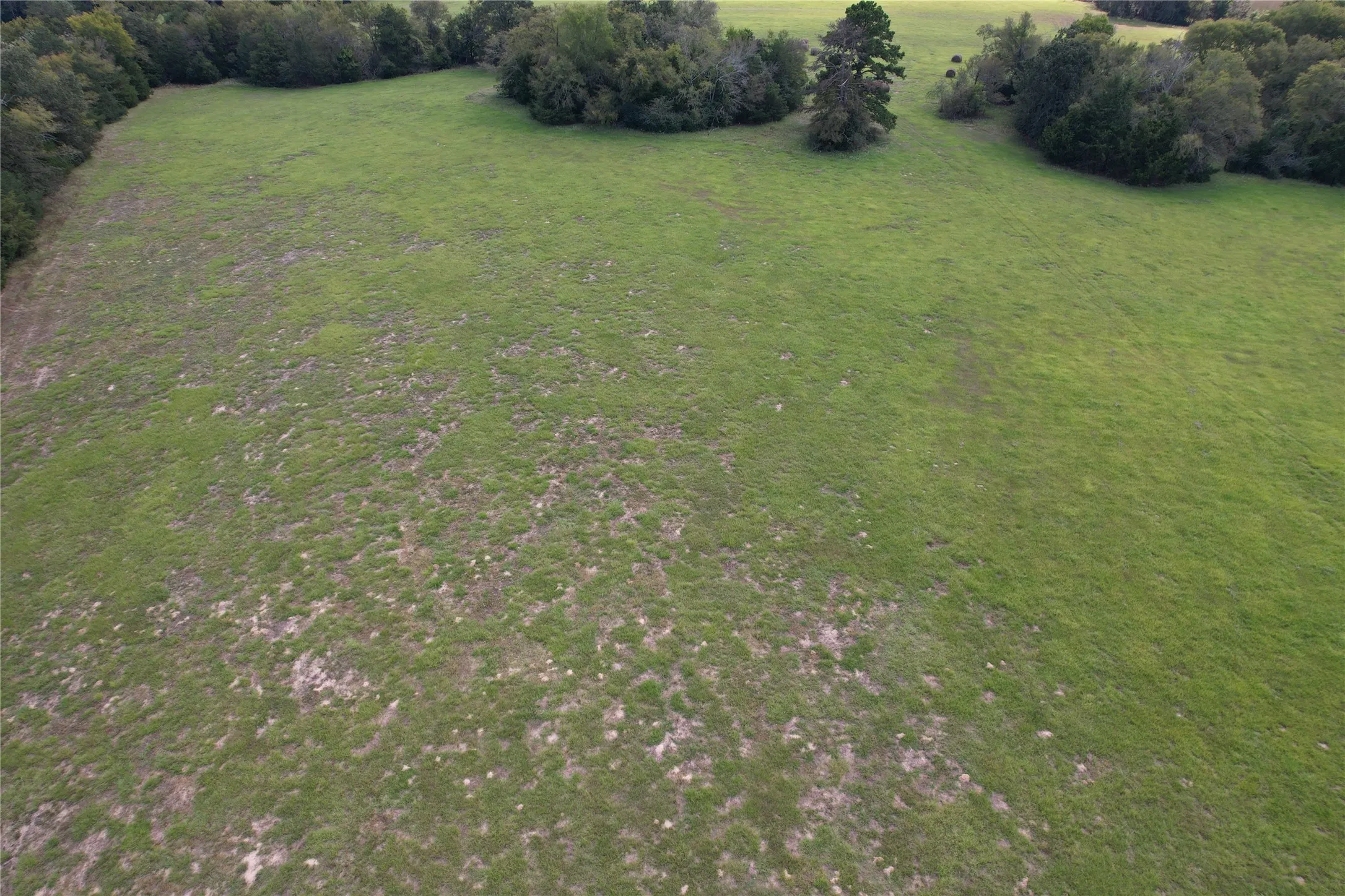 Unimproved Land For Sale in Anderson County , TBD CR 435, Frankston, Texas 75763, 0, 0, Garage spaces, 0 Sqft, built in 0, Price $395,000, mls#21362774, Real Estate Agent in Frankston, Homes For Sale in Anderson county, Homes For Sale in Frankston, Realtor in Frankston Texas, Real Estate Brokerage Independent Realty Texas, Luminita Cordes Realtor