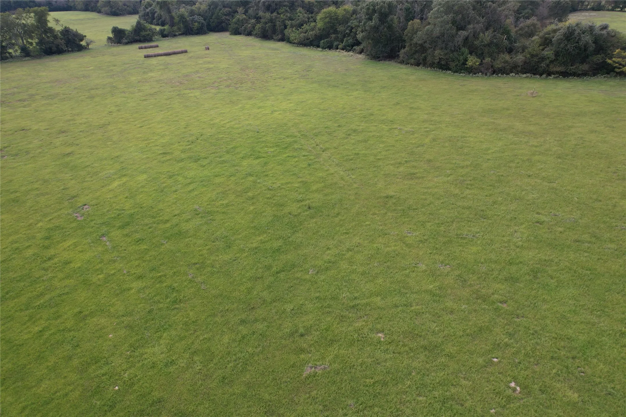 Unimproved Land For Sale in Anderson County , TBD CR 435, Frankston, Texas 75763, 0, 0, Garage spaces, 0 Sqft, built in 0, Price $395,000, mls#21362774, Real Estate Agent in Frankston, Homes For Sale in Anderson county, Homes For Sale in Frankston, Realtor in Frankston Texas, Real Estate Brokerage Independent Realty Texas, Luminita Cordes Realtor