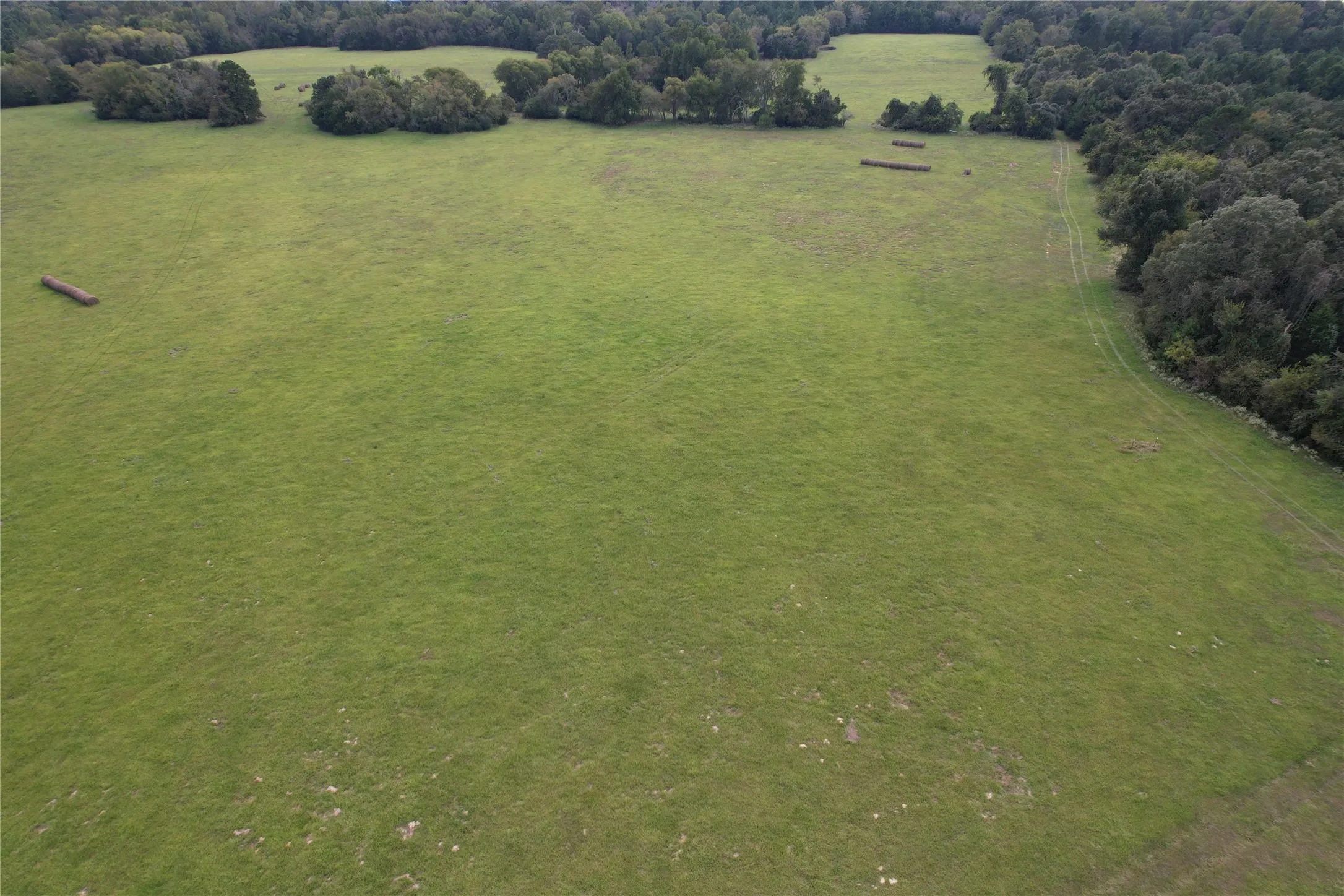 Unimproved Land For Sale in Anderson County , TBD CR 435, Frankston, Texas 75763, 0, 0, Garage spaces, 0 Sqft, built in 0, Price $395,000, mls#21362774, Real Estate Agent in Frankston, Homes For Sale in Anderson county, Homes For Sale in Frankston, Realtor in Frankston Texas, Real Estate Brokerage Independent Realty Texas, Luminita Cordes Realtor