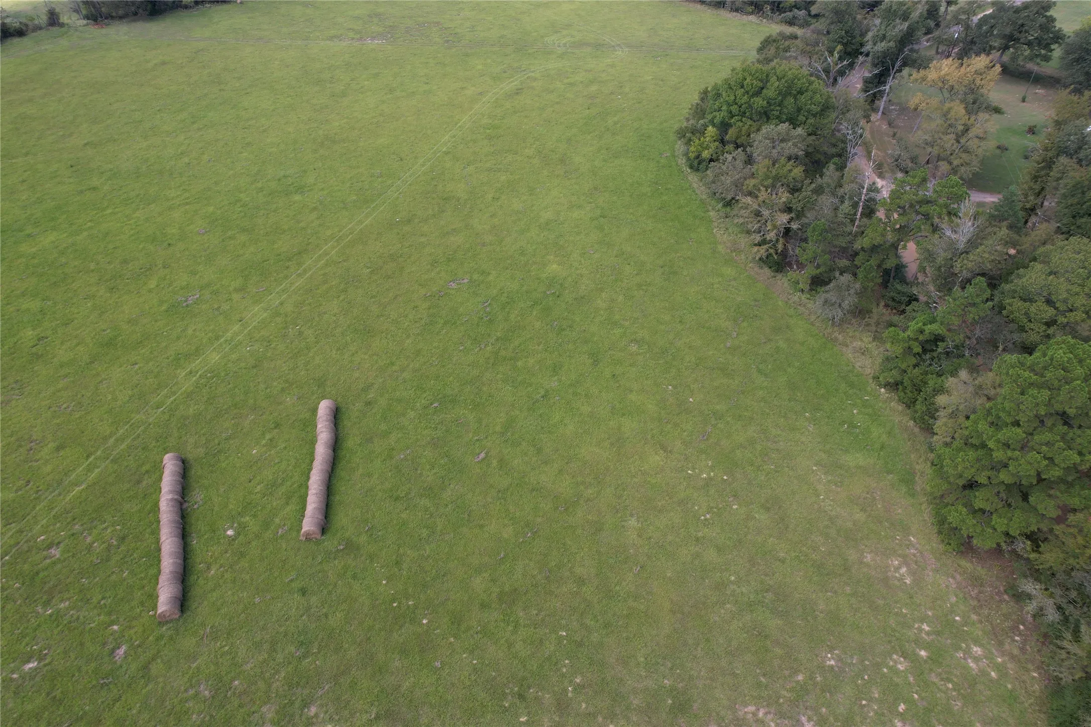 Unimproved Land For Sale in Anderson County , TBD CR 435, Frankston, Texas 75763, 0, 0, Garage spaces, 0 Sqft, built in 0, Price $395,000, mls#21362774, Real Estate Agent in Frankston, Homes For Sale in Anderson county, Homes For Sale in Frankston, Realtor in Frankston Texas, Real Estate Brokerage Independent Realty Texas, Luminita Cordes Realtor