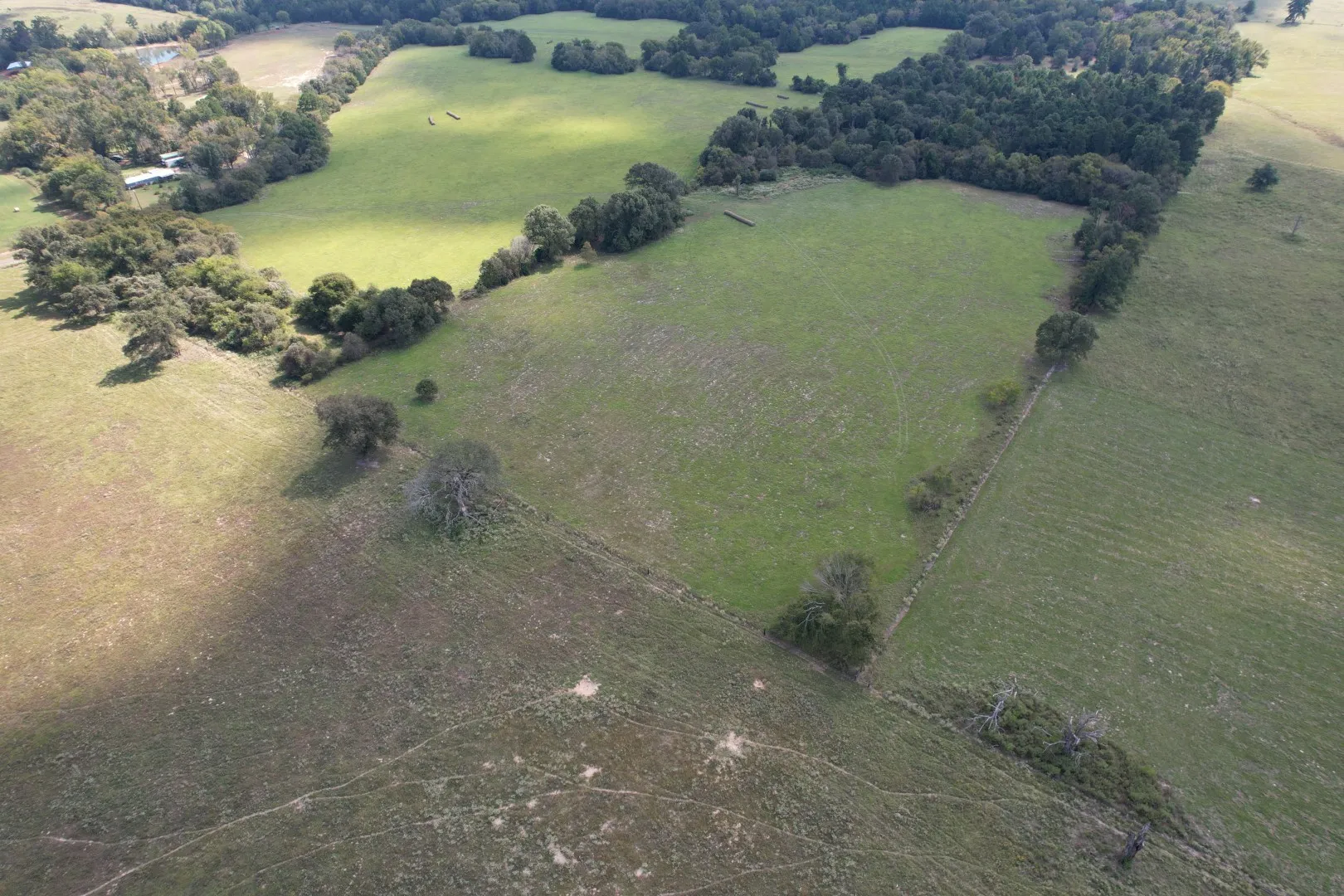 Unimproved Land For Sale in Anderson County , TBD CR 435, Frankston, Texas 75763, 0, 0, Garage spaces, 0 Sqft, built in 0, Price $395,000, mls#21362774, Real Estate Agent in Frankston, Homes For Sale in Anderson county, Homes For Sale in Frankston, Realtor in Frankston Texas, Real Estate Brokerage Independent Realty Texas, Luminita Cordes Realtor