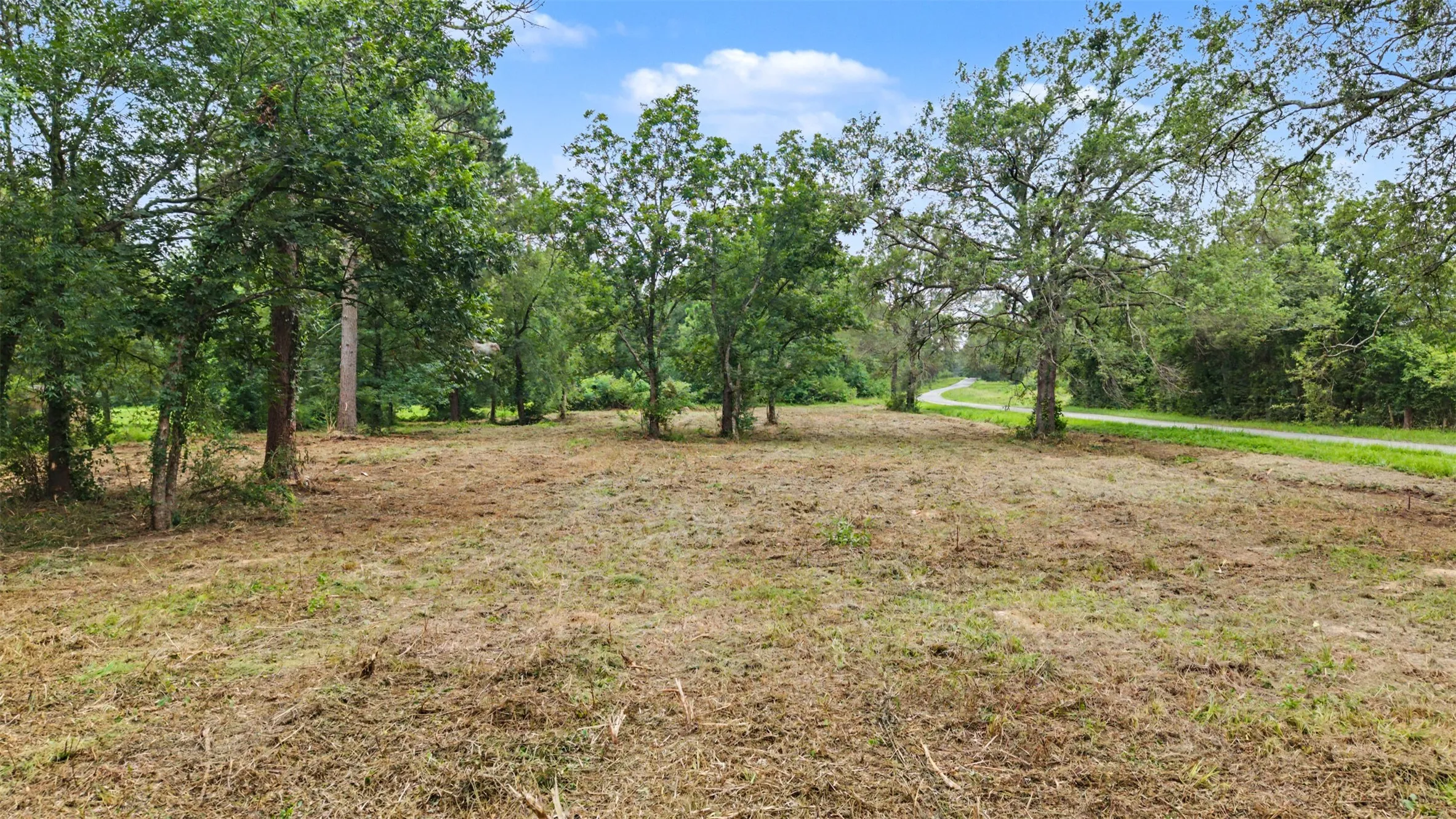 Unimproved Land For Sale in Morris County , TBD Hazelwood Dr, Naples, Texas 75568, 0, 0, Garage spaces, 0 Sqft, built in 0, Price $35,000, mls#21362775, Real Estate Agent in Naples, Homes For Sale in Morris county, Homes For Sale in Naples, Realtor in Naples Texas, Real Estate Brokerage Independent Realty Texas, Luminita Cordes Realtor