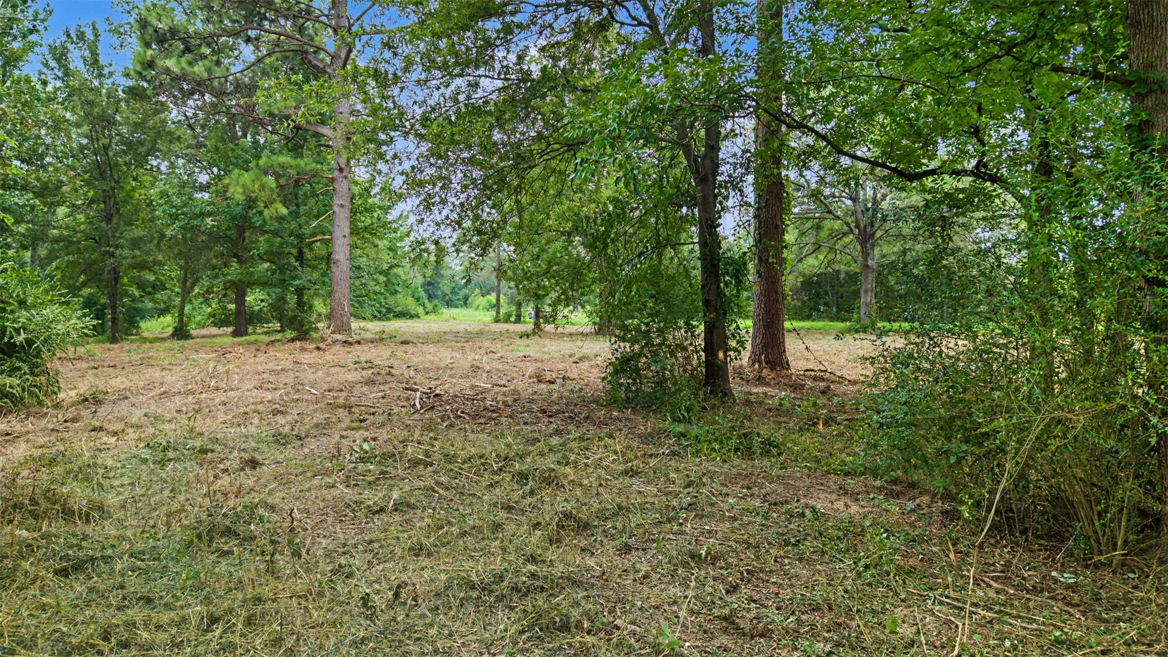 Unimproved Land For Sale in Morris County , TBD Hazelwood Dr, Naples, Texas 75568, 0, 0, Garage spaces, 0 Sqft, built in 0, Price $35,000, mls#21362775, Real Estate Agent in Naples, Homes For Sale in Morris county, Homes For Sale in Naples, Realtor in Naples Texas, Real Estate Brokerage Independent Realty Texas, Luminita Cordes Realtor