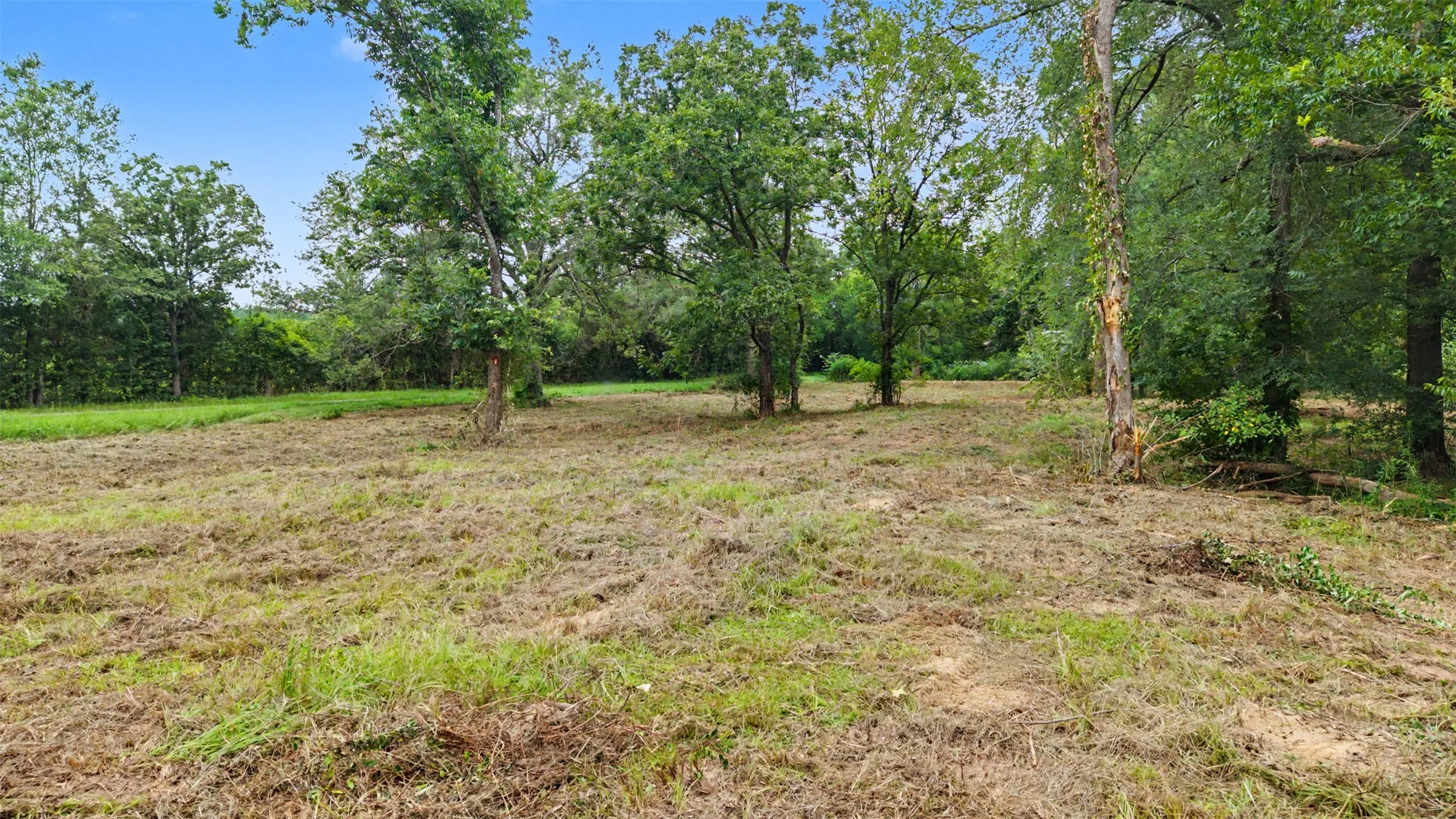 Unimproved Land For Sale in Morris County , TBD Hazelwood Dr, Naples, Texas 75568, 0, 0, Garage spaces, 0 Sqft, built in 0, Price $35,000, mls#21362775, Real Estate Agent in Naples, Homes For Sale in Morris county, Homes For Sale in Naples, Realtor in Naples Texas, Real Estate Brokerage Independent Realty Texas, Luminita Cordes Realtor