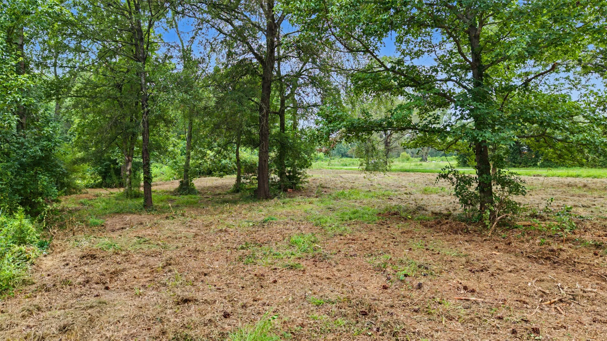 Unimproved Land For Sale in Morris County , TBD Hazelwood Dr, Naples, Texas 75568, 0, 0, Garage spaces, 0 Sqft, built in 0, Price $35,000, mls#21362775, Real Estate Agent in Naples, Homes For Sale in Morris county, Homes For Sale in Naples, Realtor in Naples Texas, Real Estate Brokerage Independent Realty Texas, Luminita Cordes Realtor