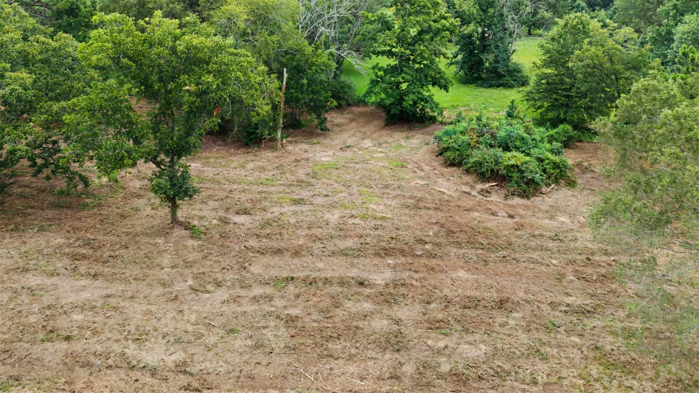 Unimproved Land For Sale in Morris County , TBD Hazelwood Dr, Naples, Texas 75568, 0, 0, Garage spaces, 0 Sqft, built in 0, Price $35,000, mls#21362775, Real Estate Agent in Naples, Homes For Sale in Morris county, Homes For Sale in Naples, Realtor in Naples Texas, Real Estate Brokerage Independent Realty Texas, Luminita Cordes Realtor