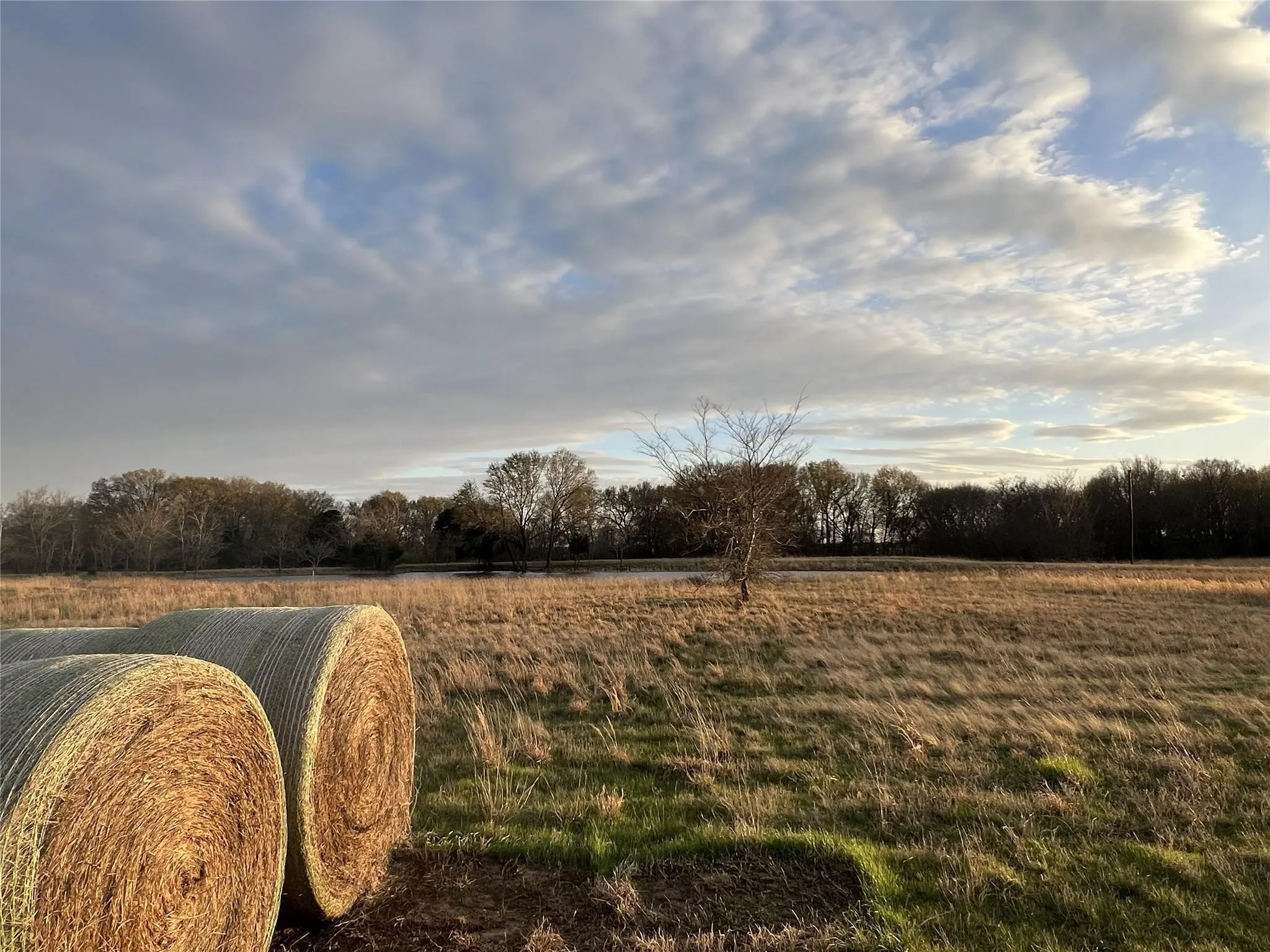 Unimproved Land For Sale in Van Zandt County , 3950 Fm 47, Wills Point, Texas 75169, 0, 0, Garage spaces, 0 Sqft, built in 0, Price $773,000, mls#21362811, Real Estate Agent in Wills Point, Homes For Sale in Van Zandt county, Homes For Sale in Wills Point, Realtor in Wills Point Texas, Real Estate Brokerage Independent Realty Texas, Luminita Cordes Realtor