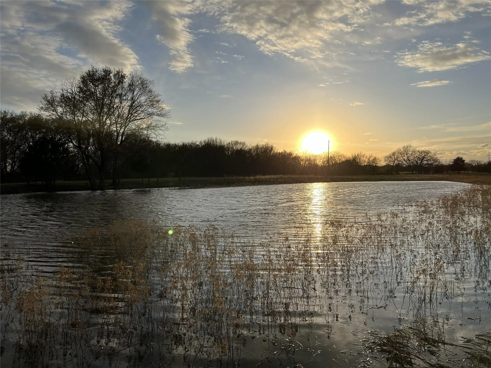 Unimproved Land For Sale in Van Zandt County , 3950 Fm 47, Wills Point, Texas 75169, 0, 0, Garage spaces, 0 Sqft, built in 0, Price $773,000, mls#21362811, Real Estate Agent in Wills Point, Homes For Sale in Van Zandt county, Homes For Sale in Wills Point, Realtor in Wills Point Texas, Real Estate Brokerage Independent Realty Texas, Luminita Cordes Realtor