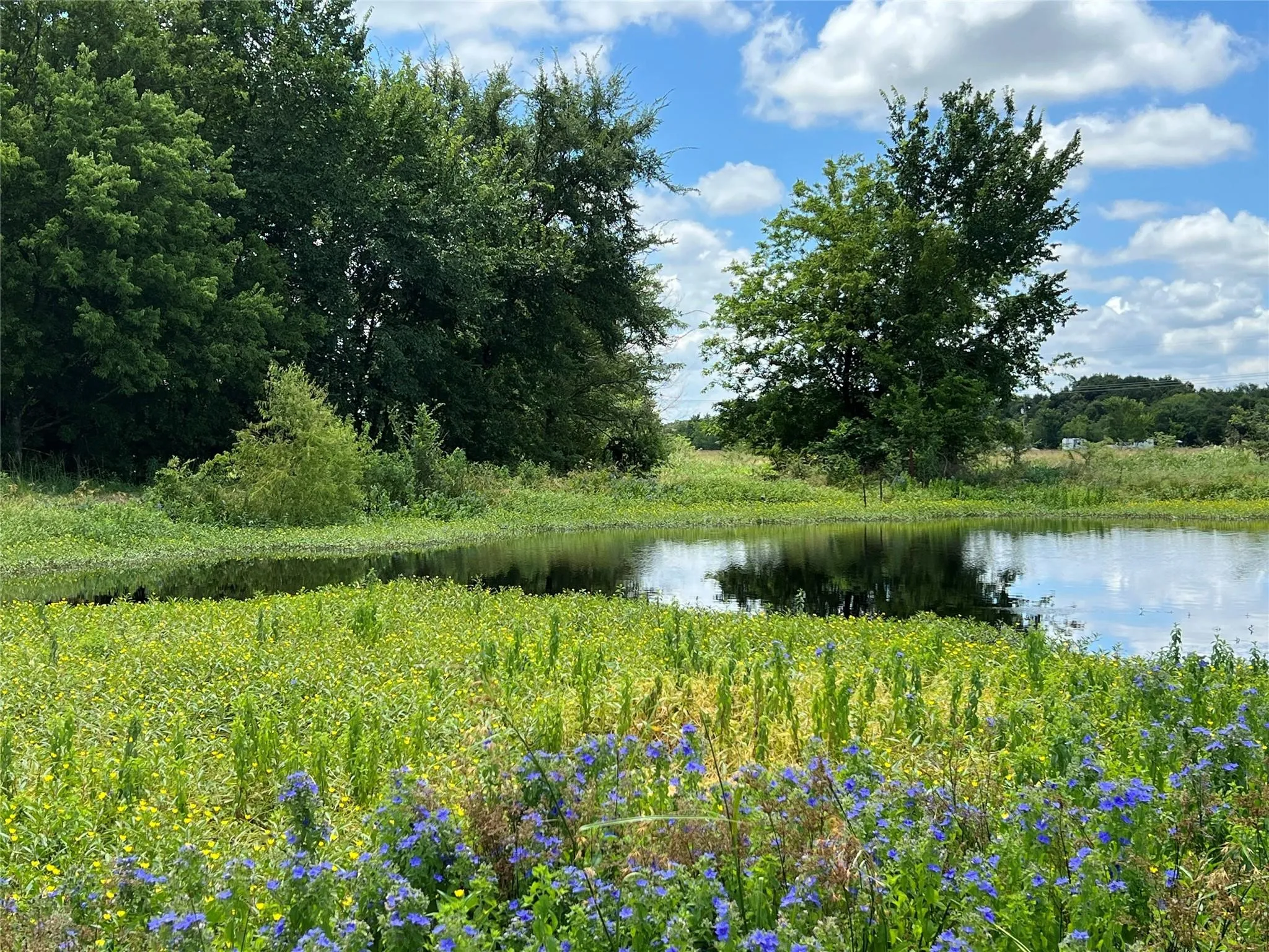 Unimproved Land For Sale in Van Zandt County , 3950 Fm 47, Wills Point, Texas 75169, 0, 0, Garage spaces, 0 Sqft, built in 0, Price $773,000, mls#21362811, Real Estate Agent in Wills Point, Homes For Sale in Van Zandt county, Homes For Sale in Wills Point, Realtor in Wills Point Texas, Real Estate Brokerage Independent Realty Texas, Luminita Cordes Realtor