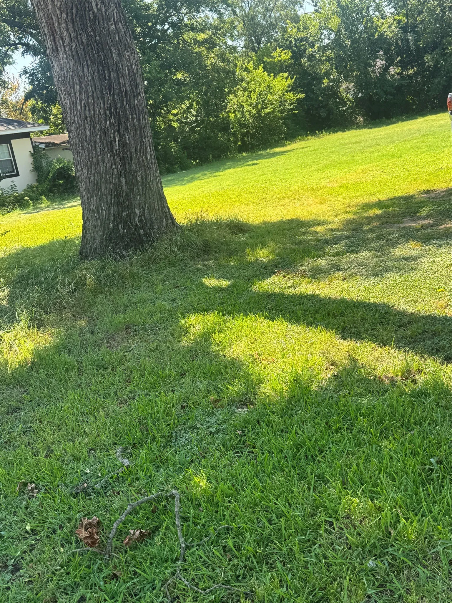 Unimproved Land For Sale in Navarro County , 735 W 1st Avenue, Corsicana, Texas 75110, 0, 0, Garage spaces, 0 Sqft, built in 0, mls#21362822, Real Estate Agent in Corsicana, Homes For Sale in Navarro county, Homes For Sale in Corsicana, Realtor in Corsicana Texas, Real Estate Brokerage Independent Realty Texas, Luminita Cordes Realtor