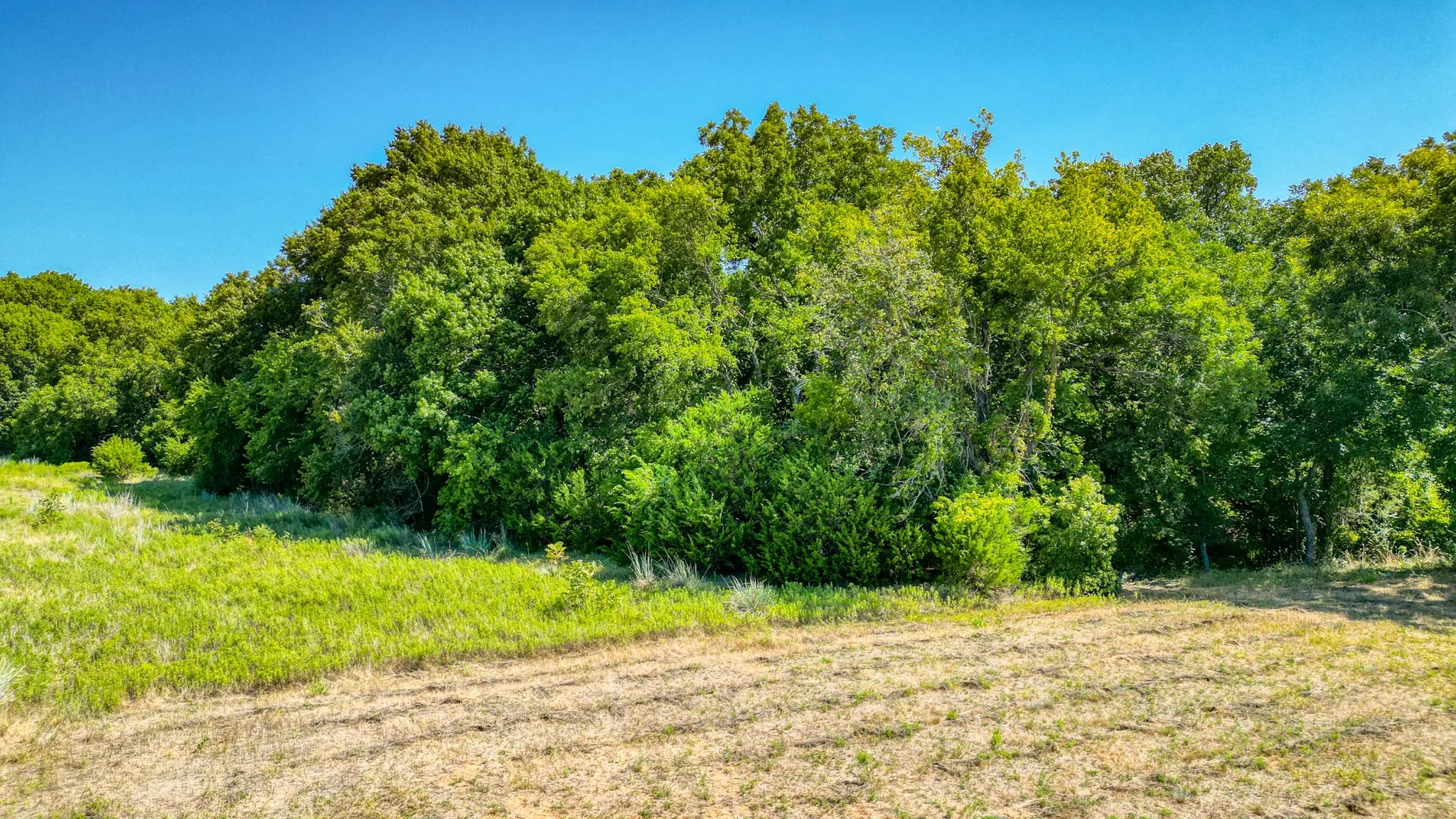 Unimproved Land For Sale in Parker County , Lot 76 Life Drive, Weatherford, Texas 76088, 0, 0, Garage spaces, 0 Sqft, built in 0, Price $95,000, mls#21355790, Real Estate Agent in Weatherford, Homes For Sale in Parker county, Homes For Sale in Weatherford, Realtor in Weatherford Texas, Real Estate Brokerage Independent Realty Texas, Luminita Cordes Realtor