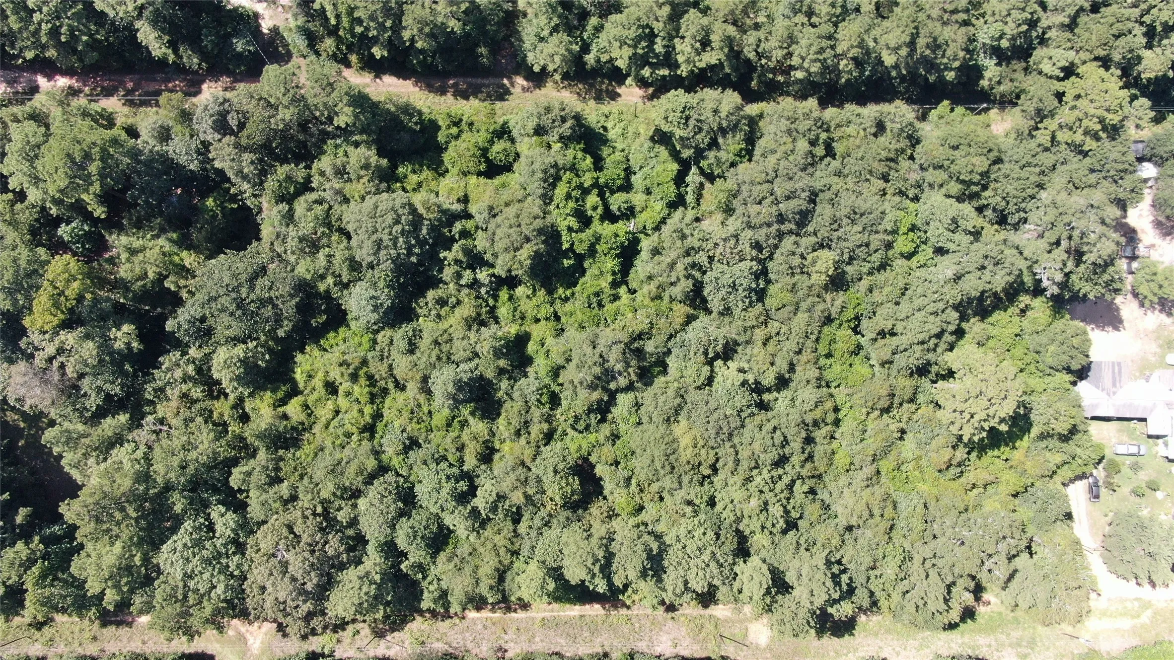 Unimproved Land For Sale in Liberty County , 2747 Road 2748, Cleveland, Texas 77327, 0, 0, Garage spaces, 0 Sqft, built in 0, mls#21362957, Real Estate Agent in Cleveland, Homes For Sale in Liberty county, Homes For Sale in Cleveland, Realtor in Cleveland Texas, Real Estate Brokerage Independent Realty Texas, Luminita Cordes Realtor