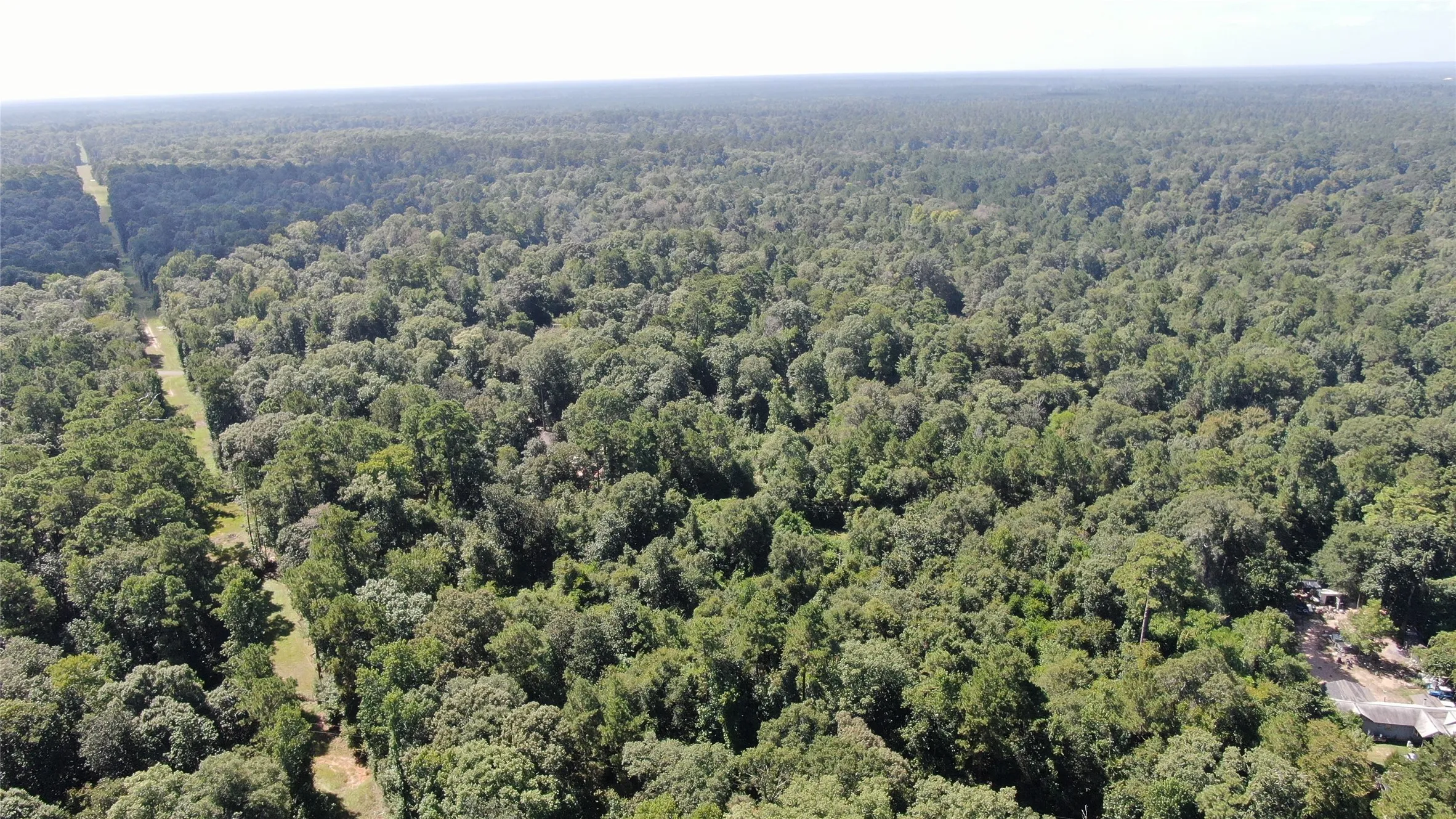 Unimproved Land For Sale in Liberty County , 2747 Road 2748, Cleveland, Texas 77327, 0, 0, Garage spaces, 0 Sqft, built in 0, mls#21362957, Real Estate Agent in Cleveland, Homes For Sale in Liberty county, Homes For Sale in Cleveland, Realtor in Cleveland Texas, Real Estate Brokerage Independent Realty Texas, Luminita Cordes Realtor