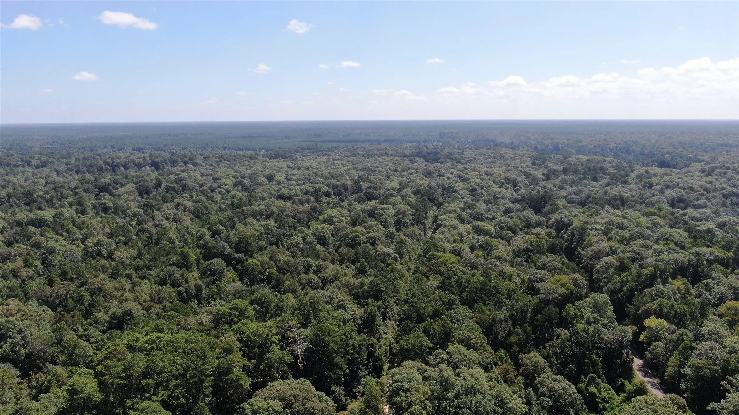 Unimproved Land For Sale in Liberty County , 2747 Road 2748, Cleveland, Texas 77327, 0, 0, Garage spaces, 0 Sqft, built in 0, mls#21362957, Real Estate Agent in Cleveland, Homes For Sale in Liberty county, Homes For Sale in Cleveland, Realtor in Cleveland Texas, Real Estate Brokerage Independent Realty Texas, Luminita Cordes Realtor