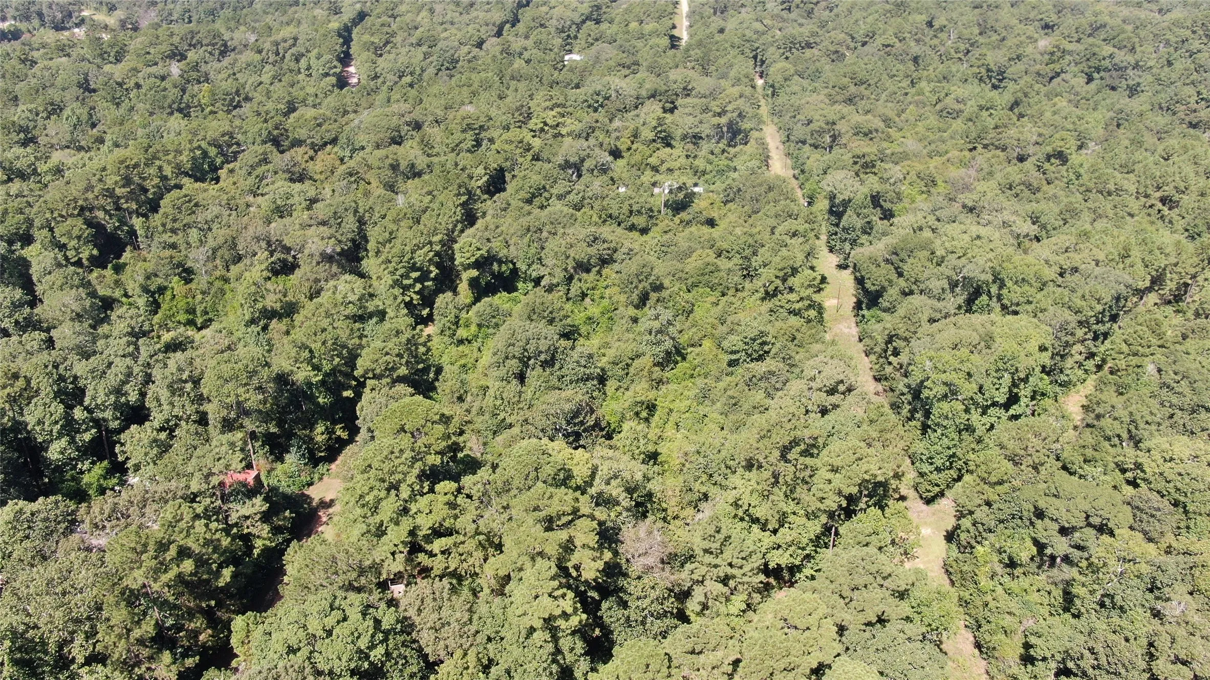 Unimproved Land For Sale in Liberty County , 2747 Road 2748, Cleveland, Texas 77327, 0, 0, Garage spaces, 0 Sqft, built in 0, mls#21362957, Real Estate Agent in Cleveland, Homes For Sale in Liberty county, Homes For Sale in Cleveland, Realtor in Cleveland Texas, Real Estate Brokerage Independent Realty Texas, Luminita Cordes Realtor