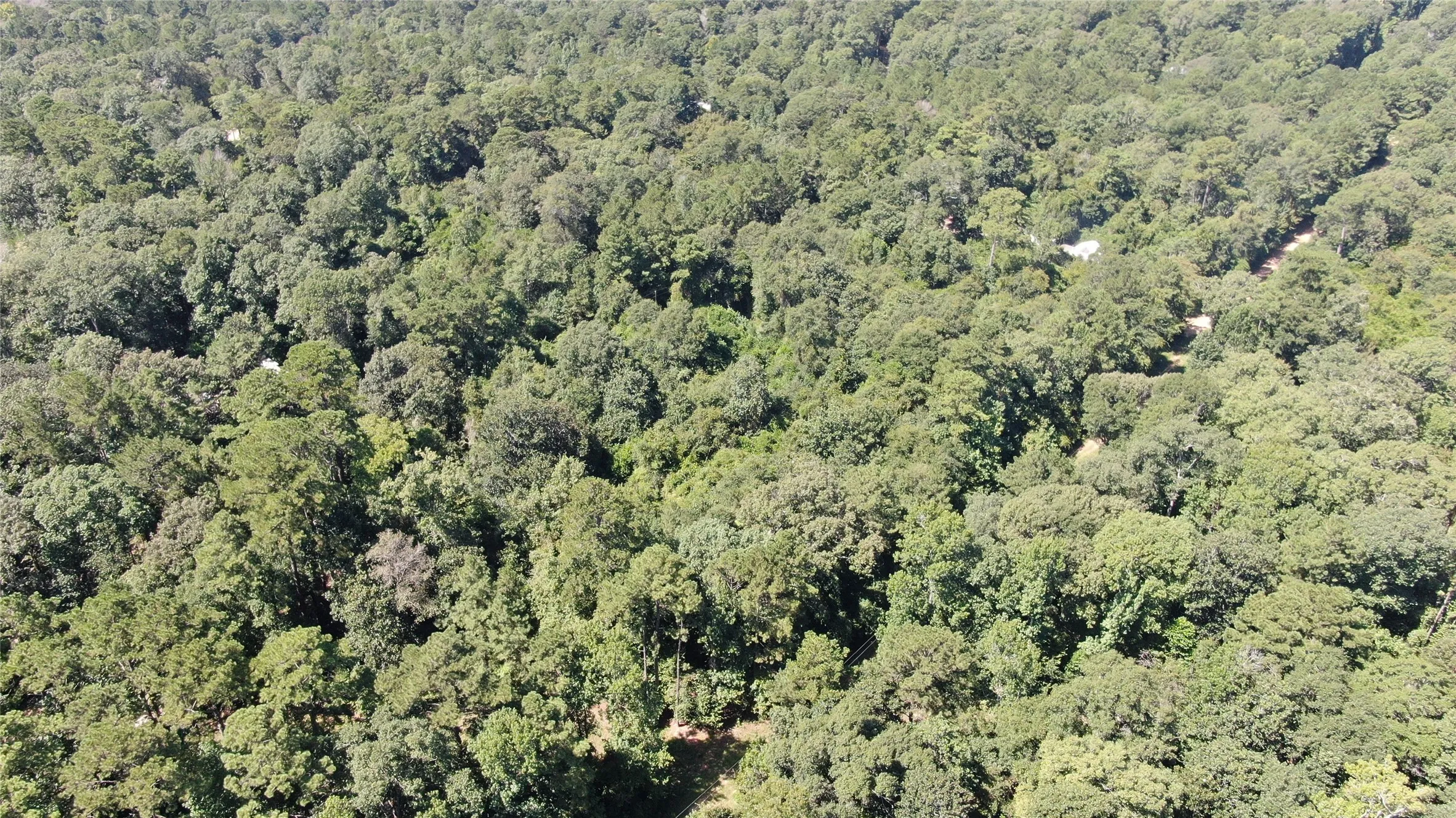 Unimproved Land For Sale in Liberty County , 2747 Road 2748, Cleveland, Texas 77327, 0, 0, Garage spaces, 0 Sqft, built in 0, mls#21362957, Real Estate Agent in Cleveland, Homes For Sale in Liberty county, Homes For Sale in Cleveland, Realtor in Cleveland Texas, Real Estate Brokerage Independent Realty Texas, Luminita Cordes Realtor