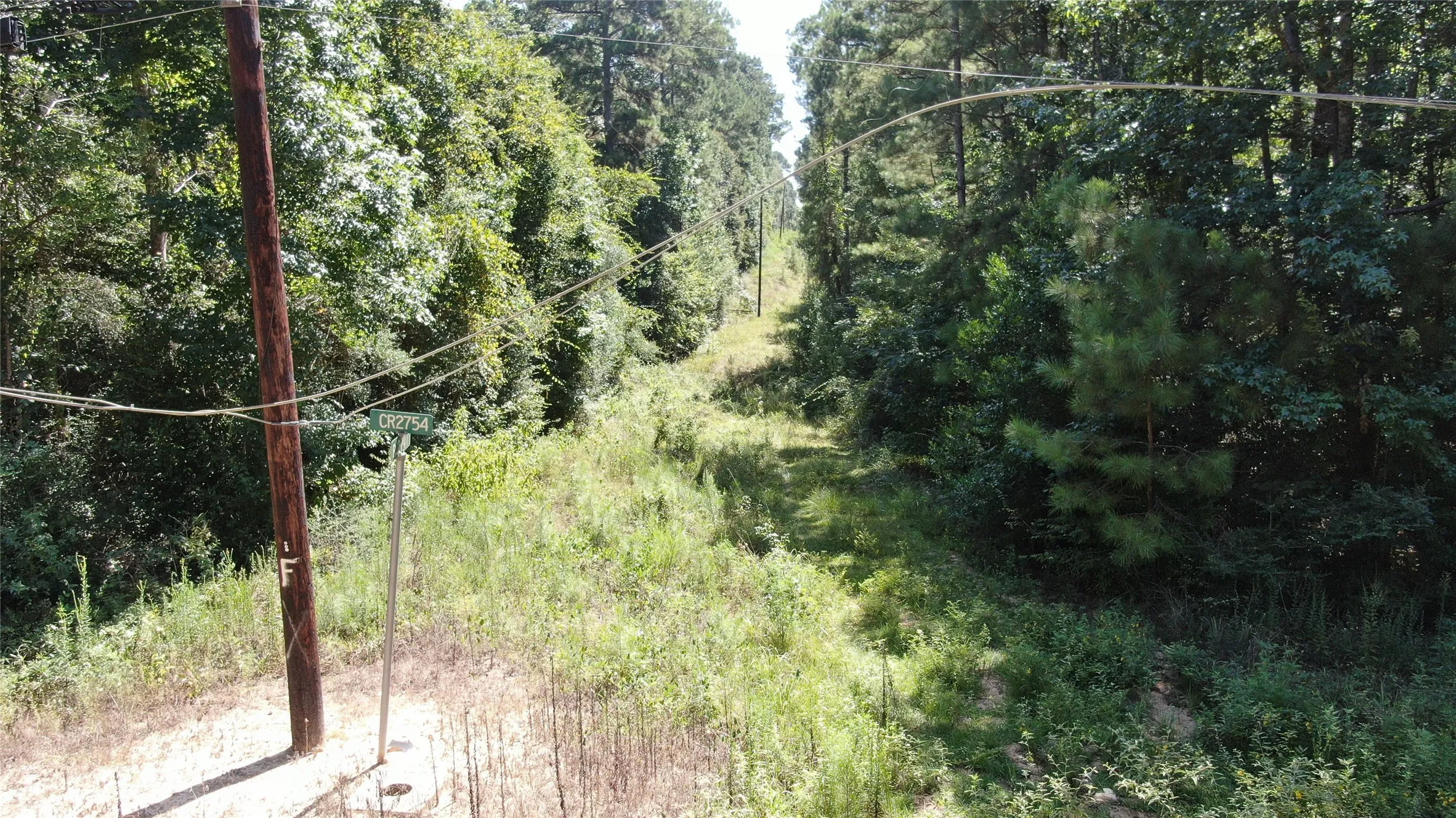 Unimproved Land For Sale in Liberty County , 2747 Road 2748, Cleveland, Texas 77327, 0, 0, Garage spaces, 0 Sqft, built in 0, mls#21362957, Real Estate Agent in Cleveland, Homes For Sale in Liberty county, Homes For Sale in Cleveland, Realtor in Cleveland Texas, Real Estate Brokerage Independent Realty Texas, Luminita Cordes Realtor