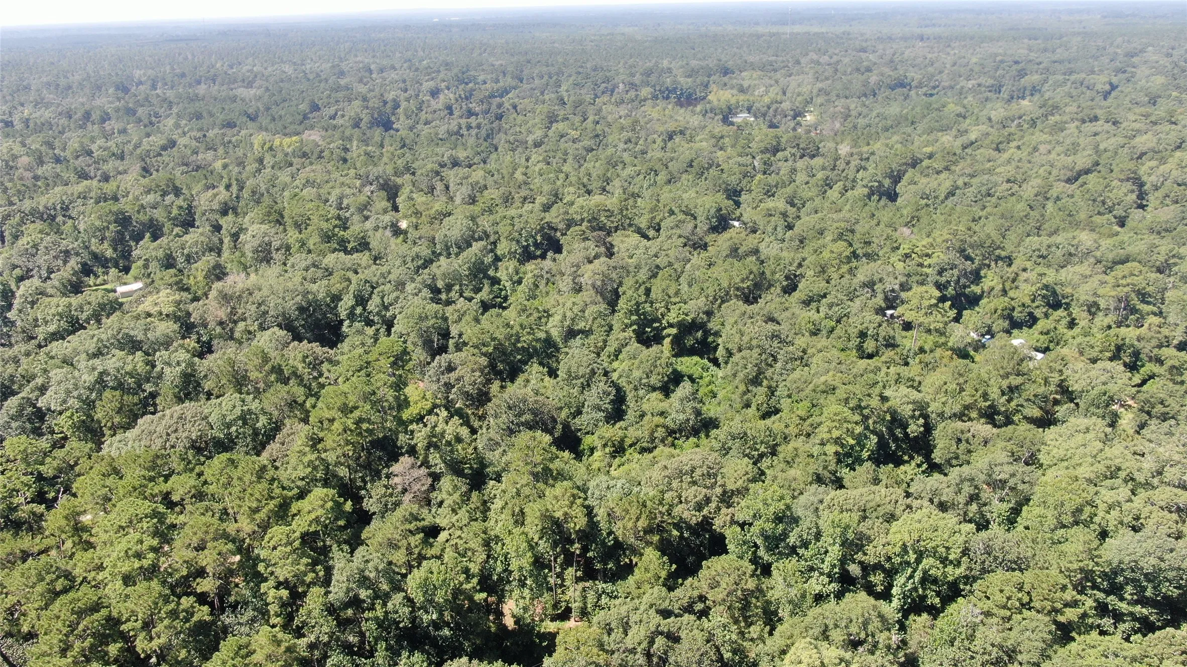 Unimproved Land For Sale in Liberty County , 2747 Road 2748, Cleveland, Texas 77327, 0, 0, Garage spaces, 0 Sqft, built in 0, mls#21362957, Real Estate Agent in Cleveland, Homes For Sale in Liberty county, Homes For Sale in Cleveland, Realtor in Cleveland Texas, Real Estate Brokerage Independent Realty Texas, Luminita Cordes Realtor