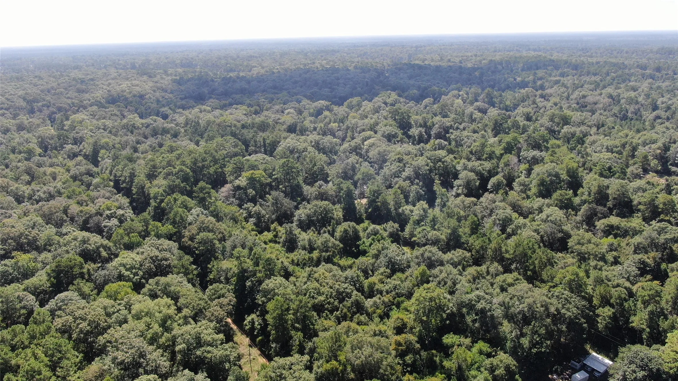 Unimproved Land For Sale in Liberty County , 2747 Road 2748, Cleveland, Texas 77327, 0, 0, Garage spaces, 0 Sqft, built in 0, mls#21362957, Real Estate Agent in Cleveland, Homes For Sale in Liberty county, Homes For Sale in Cleveland, Realtor in Cleveland Texas, Real Estate Brokerage Independent Realty Texas, Luminita Cordes Realtor