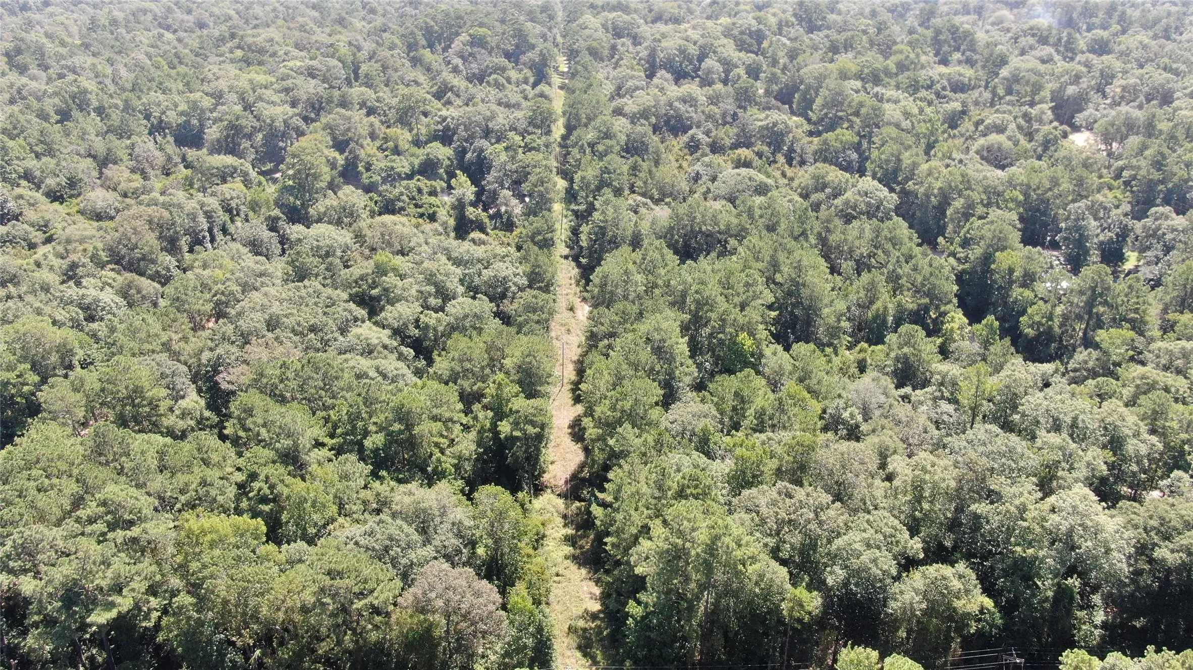 Unimproved Land For Sale in Liberty County , 2747 Road 2748, Cleveland, Texas 77327, 0, 0, Garage spaces, 0 Sqft, built in 0, mls#21362957, Real Estate Agent in Cleveland, Homes For Sale in Liberty county, Homes For Sale in Cleveland, Realtor in Cleveland Texas, Real Estate Brokerage Independent Realty Texas, Luminita Cordes Realtor