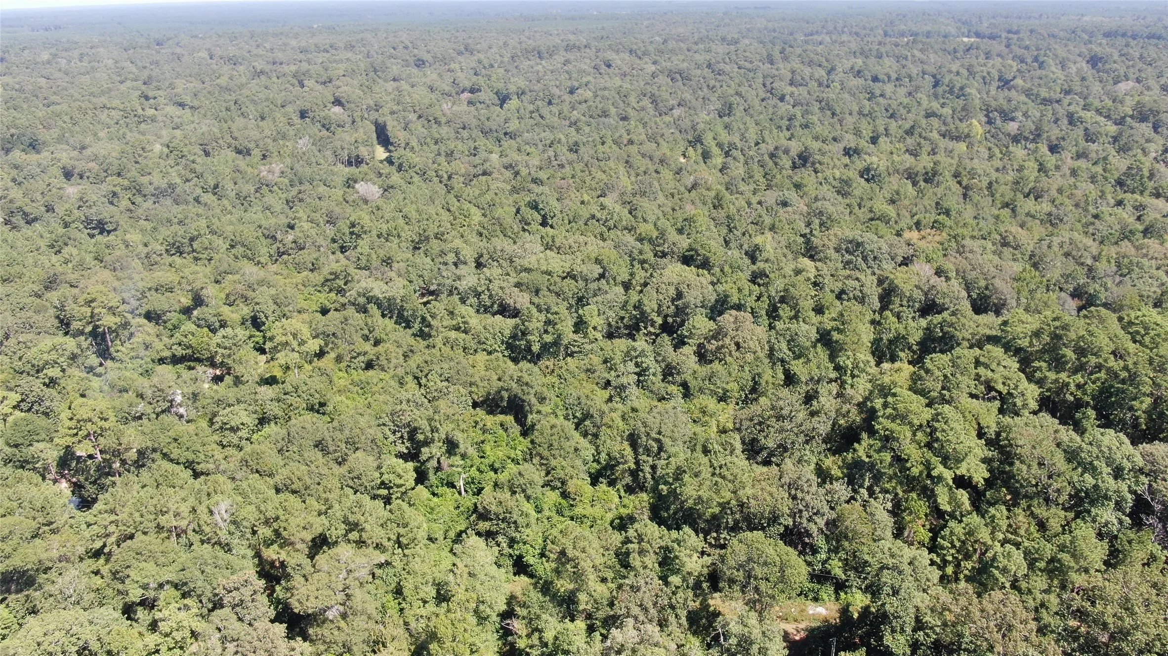 Unimproved Land For Sale in Liberty County , 2747 Road 2748, Cleveland, Texas 77327, 0, 0, Garage spaces, 0 Sqft, built in 0, mls#21362957, Real Estate Agent in Cleveland, Homes For Sale in Liberty county, Homes For Sale in Cleveland, Realtor in Cleveland Texas, Real Estate Brokerage Independent Realty Texas, Luminita Cordes Realtor