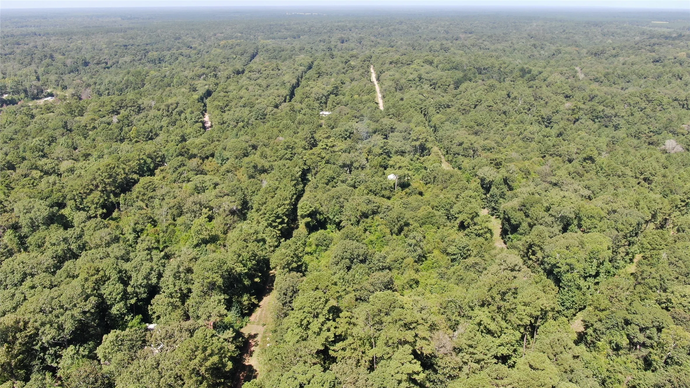 Unimproved Land For Sale in Liberty County , 2747 Road 2748, Cleveland, Texas 77327, 0, 0, Garage spaces, 0 Sqft, built in 0, mls#21362957, Real Estate Agent in Cleveland, Homes For Sale in Liberty county, Homes For Sale in Cleveland, Realtor in Cleveland Texas, Real Estate Brokerage Independent Realty Texas, Luminita Cordes Realtor