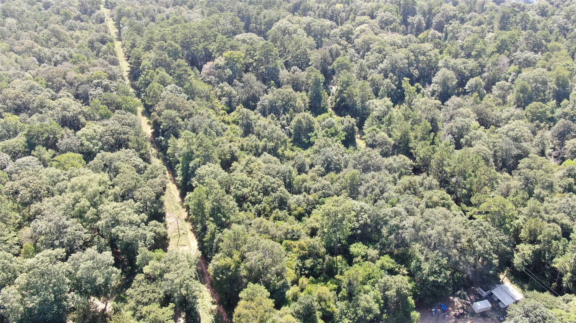Unimproved Land For Sale in Liberty County , 2747 Road 2748, Cleveland, Texas 77327, 0, 0, Garage spaces, 0 Sqft, built in 0, mls#21362957, Real Estate Agent in Cleveland, Homes For Sale in Liberty county, Homes For Sale in Cleveland, Realtor in Cleveland Texas, Real Estate Brokerage Independent Realty Texas, Luminita Cordes Realtor