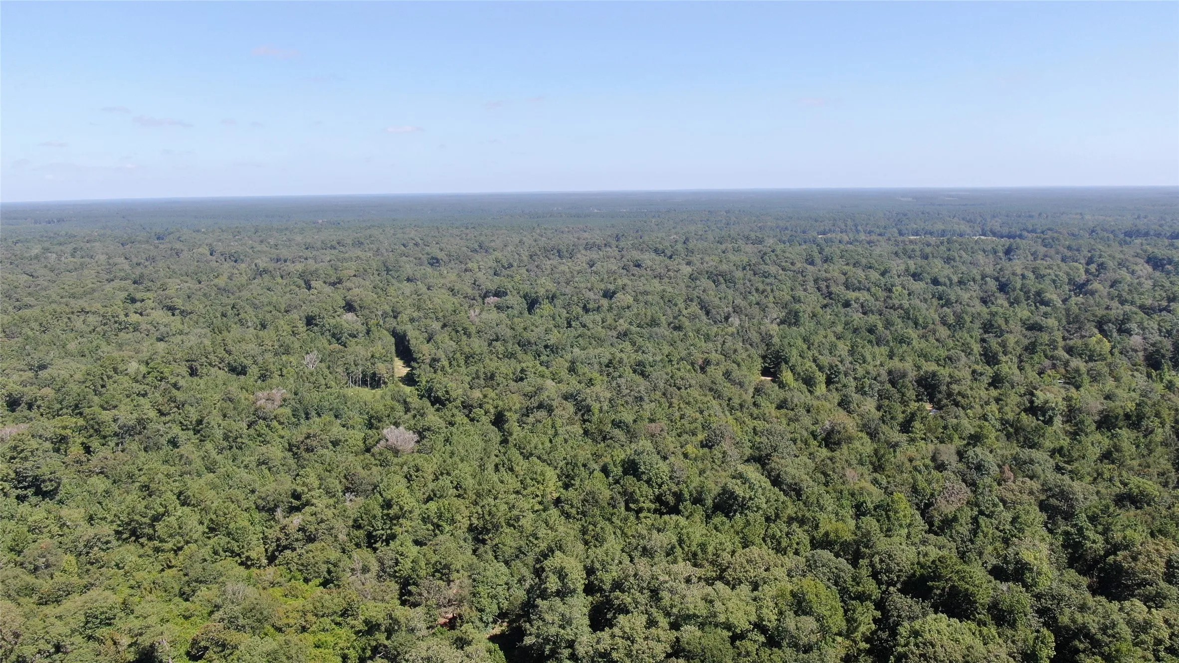 Unimproved Land For Sale in Liberty County , 2747 Road 2748, Cleveland, Texas 77327, 0, 0, Garage spaces, 0 Sqft, built in 0, mls#21362957, Real Estate Agent in Cleveland, Homes For Sale in Liberty county, Homes For Sale in Cleveland, Realtor in Cleveland Texas, Real Estate Brokerage Independent Realty Texas, Luminita Cordes Realtor