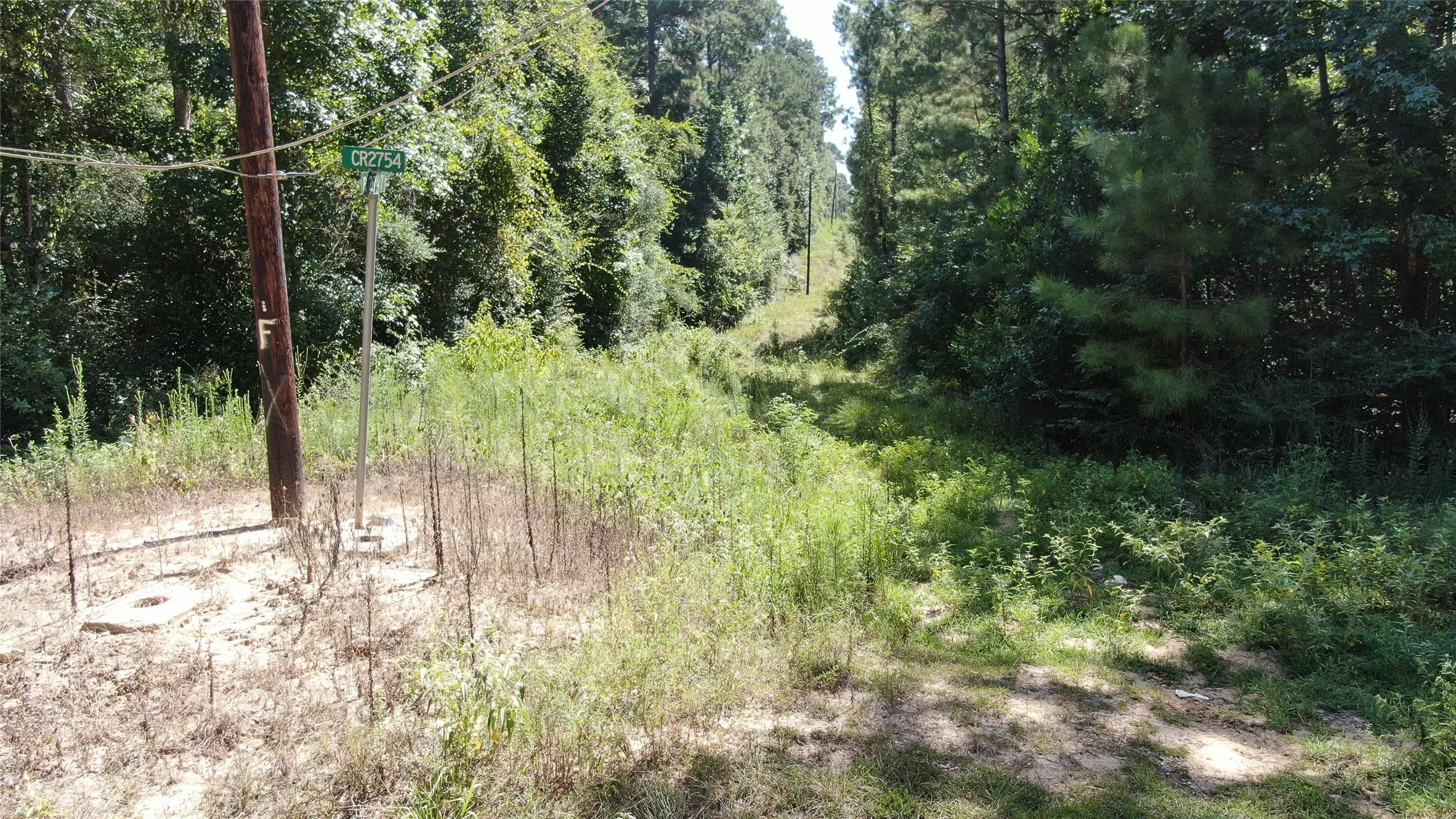 Unimproved Land For Sale in Liberty County , 2747 Road 2748, Cleveland, Texas 77327, 0, 0, Garage spaces, 0 Sqft, built in 0, mls#21362957, Real Estate Agent in Cleveland, Homes For Sale in Liberty county, Homes For Sale in Cleveland, Realtor in Cleveland Texas, Real Estate Brokerage Independent Realty Texas, Luminita Cordes Realtor