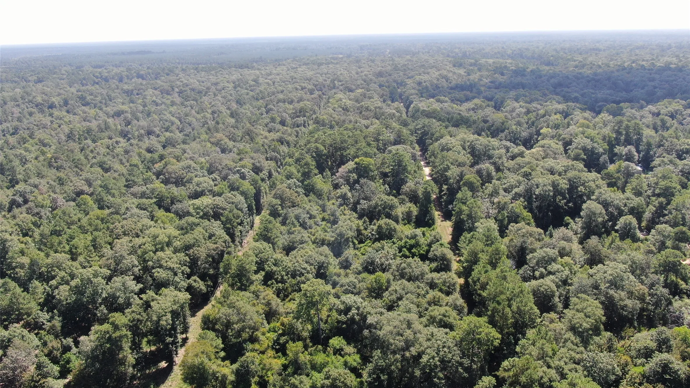 Unimproved Land For Sale in Liberty County , 2747 Road 2748, Cleveland, Texas 77327, 0, 0, Garage spaces, 0 Sqft, built in 0, mls#21362957, Real Estate Agent in Cleveland, Homes For Sale in Liberty county, Homes For Sale in Cleveland, Realtor in Cleveland Texas, Real Estate Brokerage Independent Realty Texas, Luminita Cordes Realtor