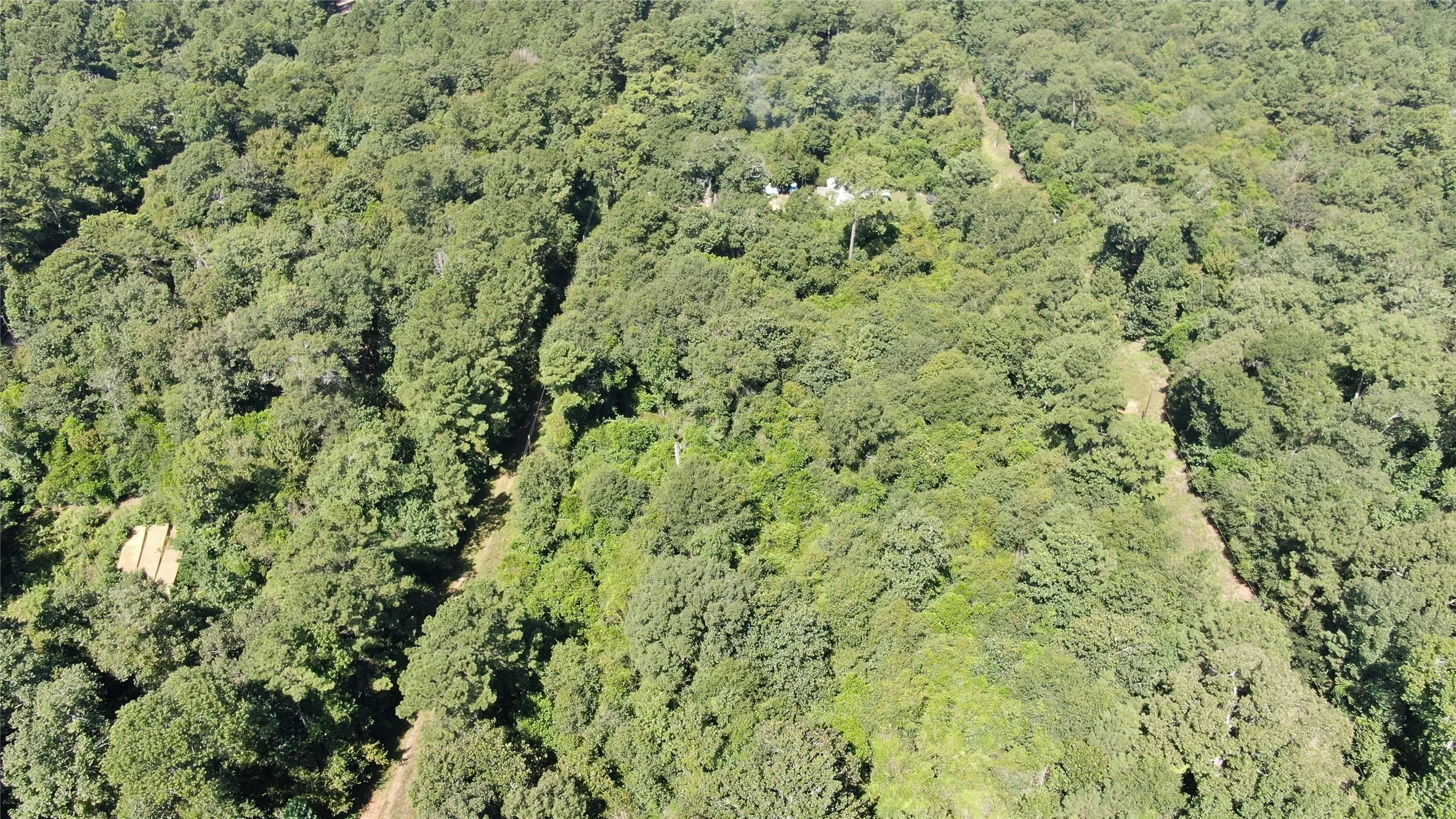 Unimproved Land For Sale in Liberty County , 2747 Road 2748, Cleveland, Texas 77327, 0, 0, Garage spaces, 0 Sqft, built in 0, mls#21362957, Real Estate Agent in Cleveland, Homes For Sale in Liberty county, Homes For Sale in Cleveland, Realtor in Cleveland Texas, Real Estate Brokerage Independent Realty Texas, Luminita Cordes Realtor