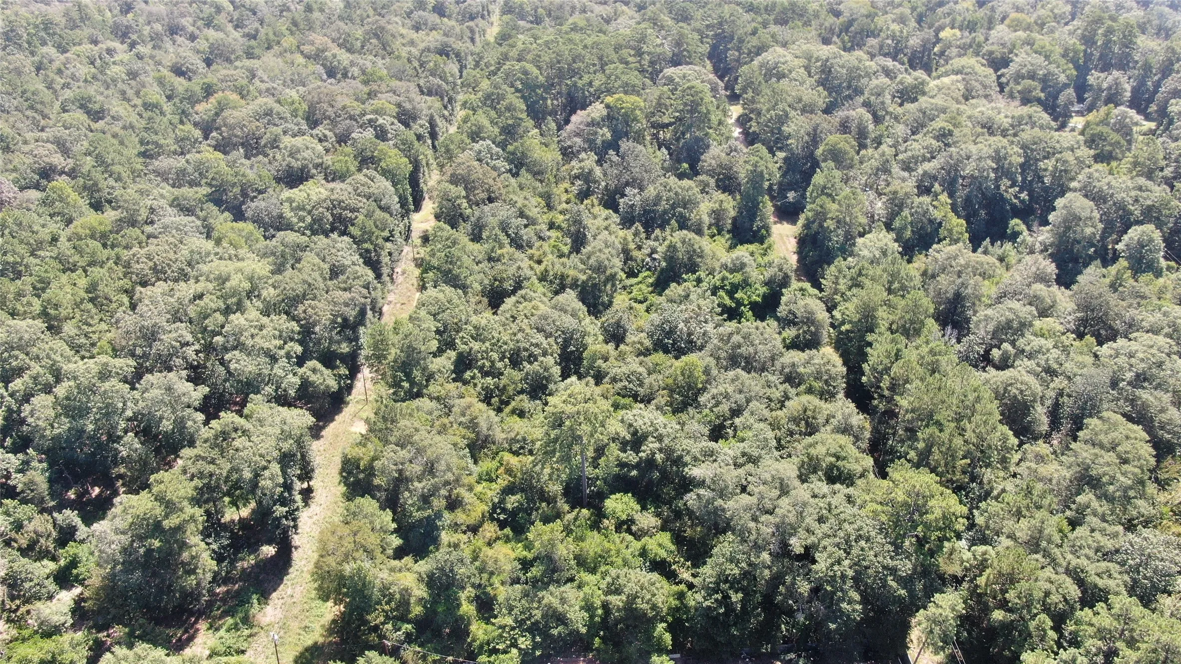 Unimproved Land For Sale in Liberty County , 2747 Road 2748, Cleveland, Texas 77327, 0, 0, Garage spaces, 0 Sqft, built in 0, mls#21362957, Real Estate Agent in Cleveland, Homes For Sale in Liberty county, Homes For Sale in Cleveland, Realtor in Cleveland Texas, Real Estate Brokerage Independent Realty Texas, Luminita Cordes Realtor