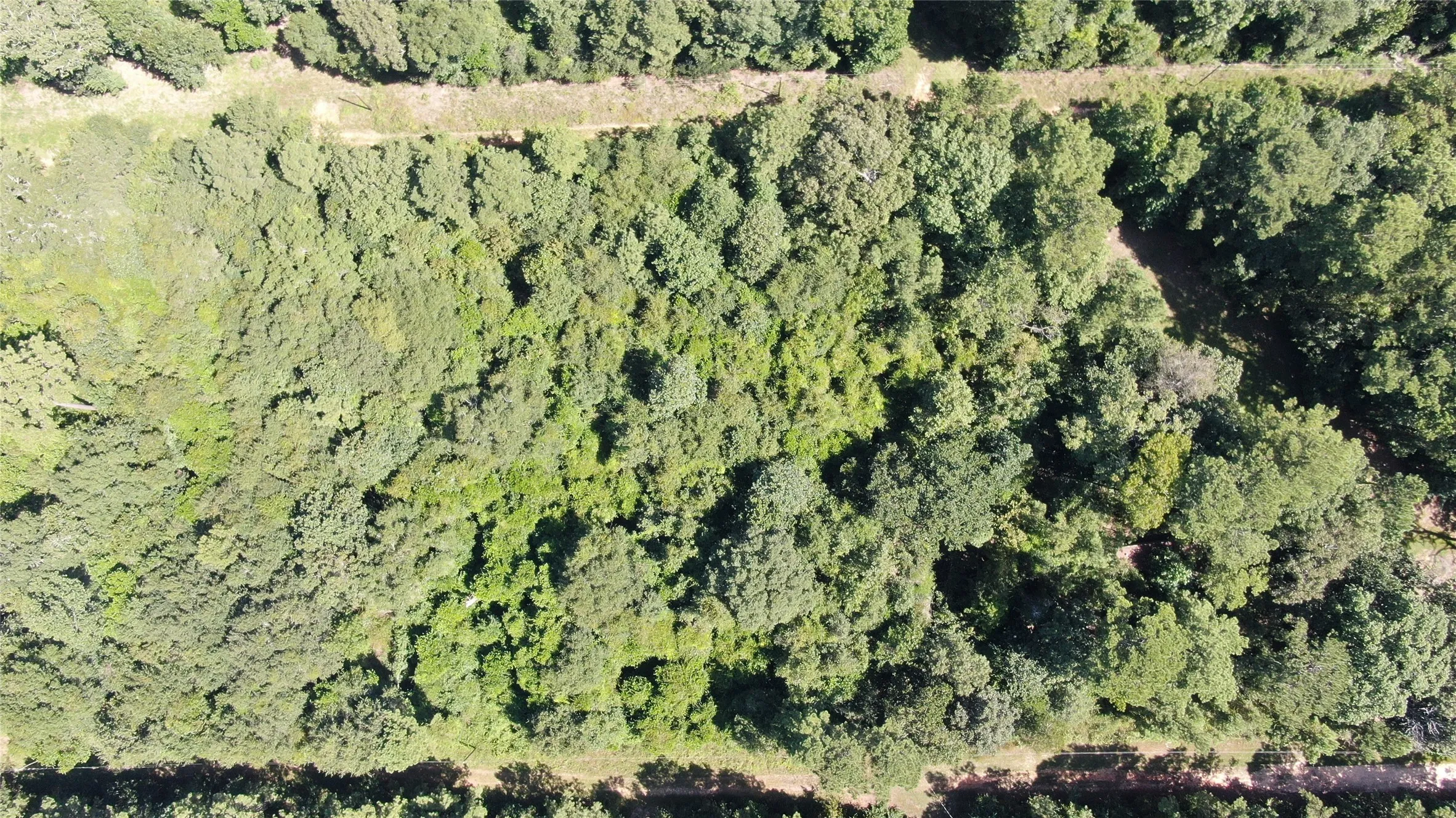 Unimproved Land For Sale in Liberty County , 2747 Road 2748, Cleveland, Texas 77327, 0, 0, Garage spaces, 0 Sqft, built in 0, mls#21362957, Real Estate Agent in Cleveland, Homes For Sale in Liberty county, Homes For Sale in Cleveland, Realtor in Cleveland Texas, Real Estate Brokerage Independent Realty Texas, Luminita Cordes Realtor