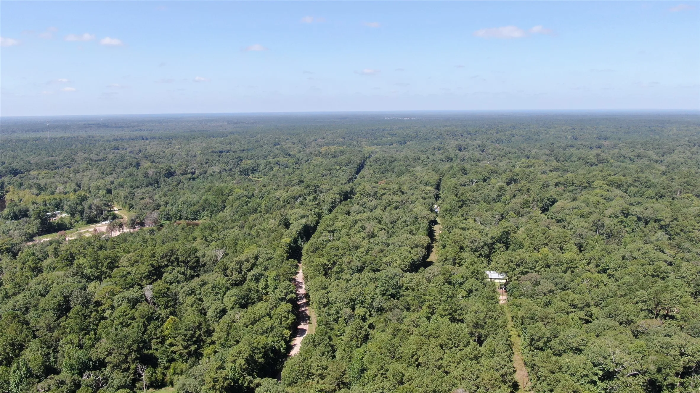 Unimproved Land For Sale in Liberty County , 2747 Road 2748, Cleveland, Texas 77327, 0, 0, Garage spaces, 0 Sqft, built in 0, mls#21362957, Real Estate Agent in Cleveland, Homes For Sale in Liberty county, Homes For Sale in Cleveland, Realtor in Cleveland Texas, Real Estate Brokerage Independent Realty Texas, Luminita Cordes Realtor