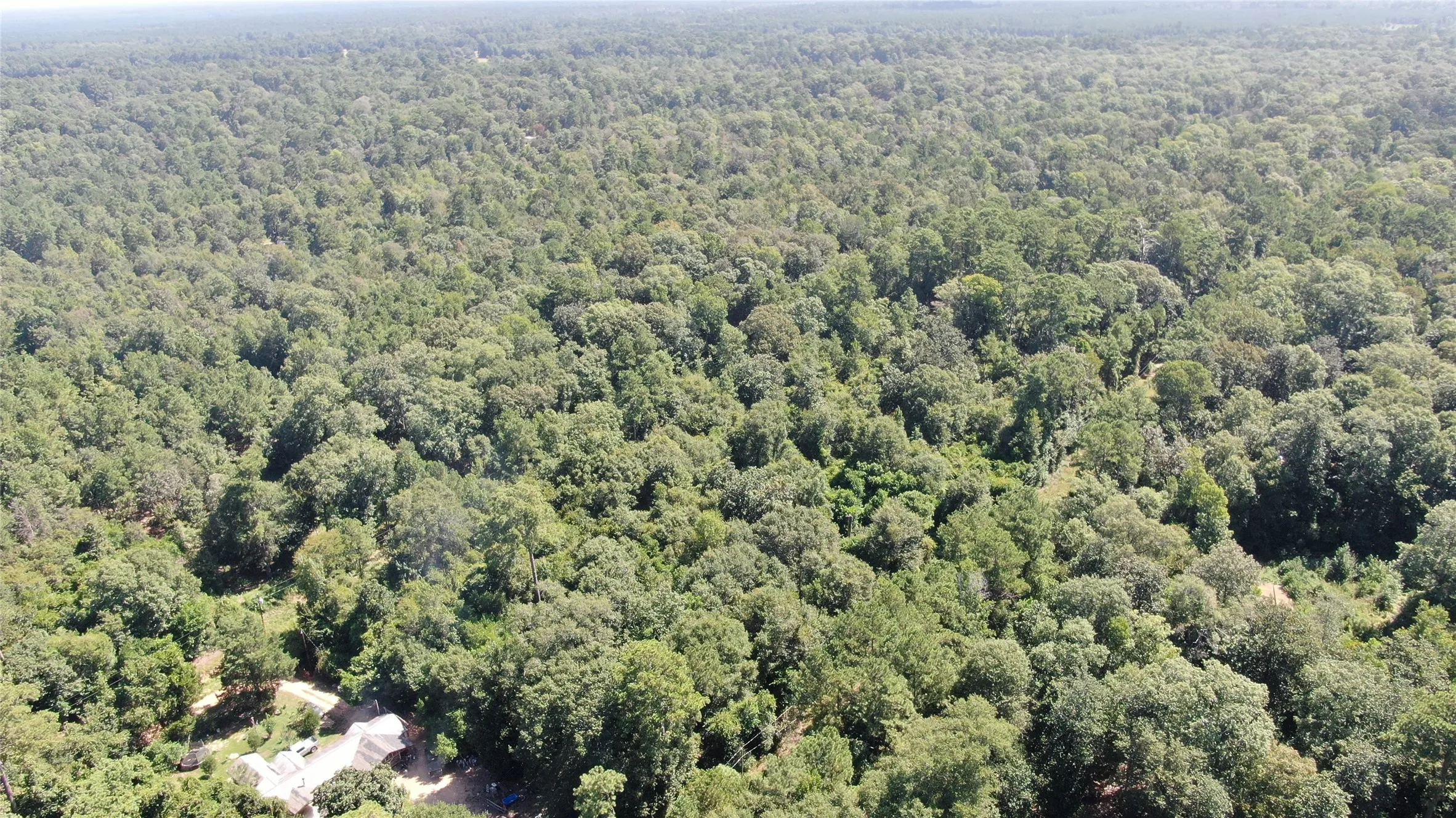 Unimproved Land For Sale in Liberty County , 2747 Road 2748, Cleveland, Texas 77327, 0, 0, Garage spaces, 0 Sqft, built in 0, mls#21362957, Real Estate Agent in Cleveland, Homes For Sale in Liberty county, Homes For Sale in Cleveland, Realtor in Cleveland Texas, Real Estate Brokerage Independent Realty Texas, Luminita Cordes Realtor
