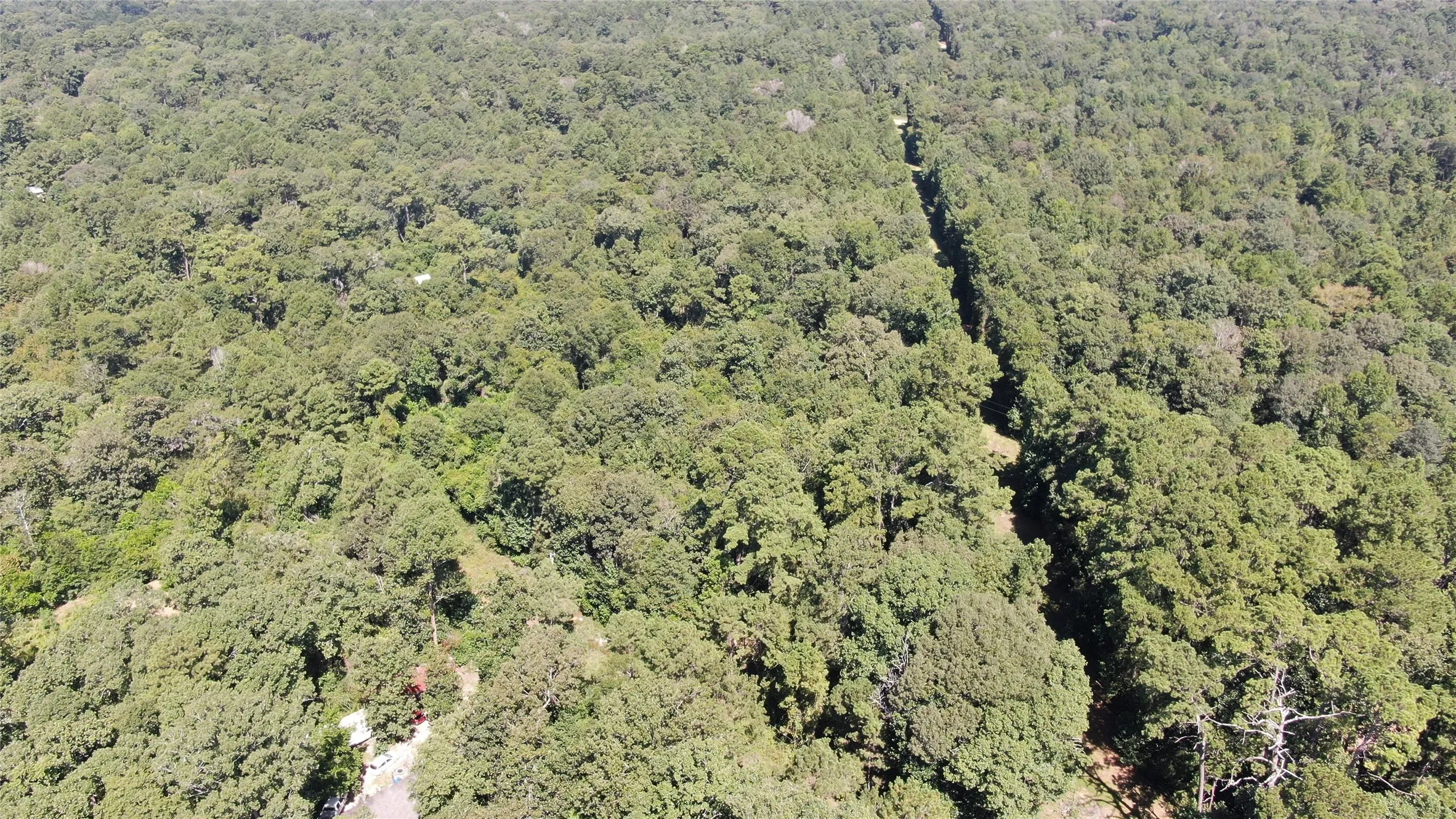 Unimproved Land For Sale in Liberty County , 2747 Road 2748, Cleveland, Texas 77327, 0, 0, Garage spaces, 0 Sqft, built in 0, mls#21362957, Real Estate Agent in Cleveland, Homes For Sale in Liberty county, Homes For Sale in Cleveland, Realtor in Cleveland Texas, Real Estate Brokerage Independent Realty Texas, Luminita Cordes Realtor