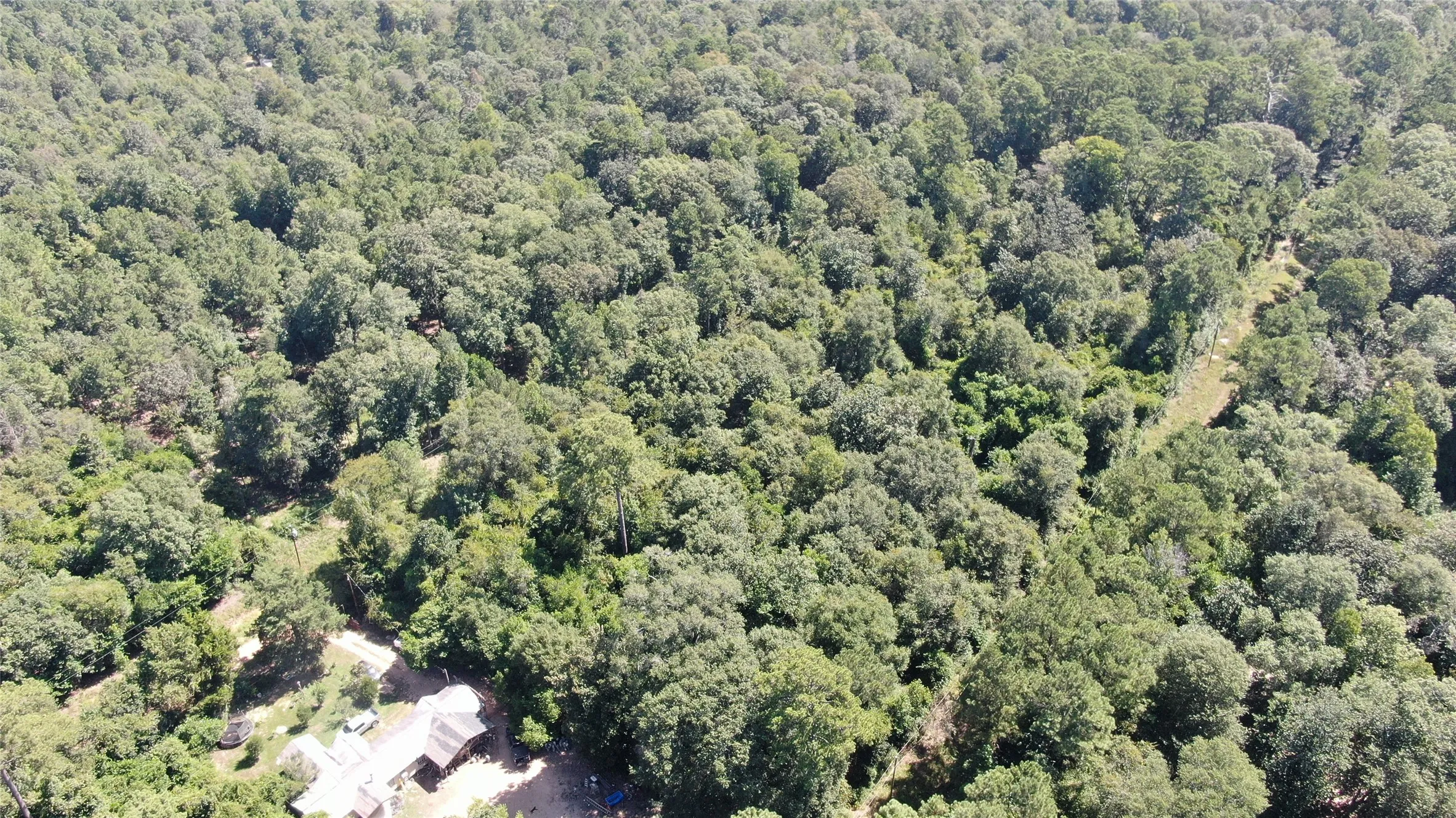 Unimproved Land For Sale in Liberty County , 2747 Road 2748, Cleveland, Texas 77327, 0, 0, Garage spaces, 0 Sqft, built in 0, mls#21362957, Real Estate Agent in Cleveland, Homes For Sale in Liberty county, Homes For Sale in Cleveland, Realtor in Cleveland Texas, Real Estate Brokerage Independent Realty Texas, Luminita Cordes Realtor