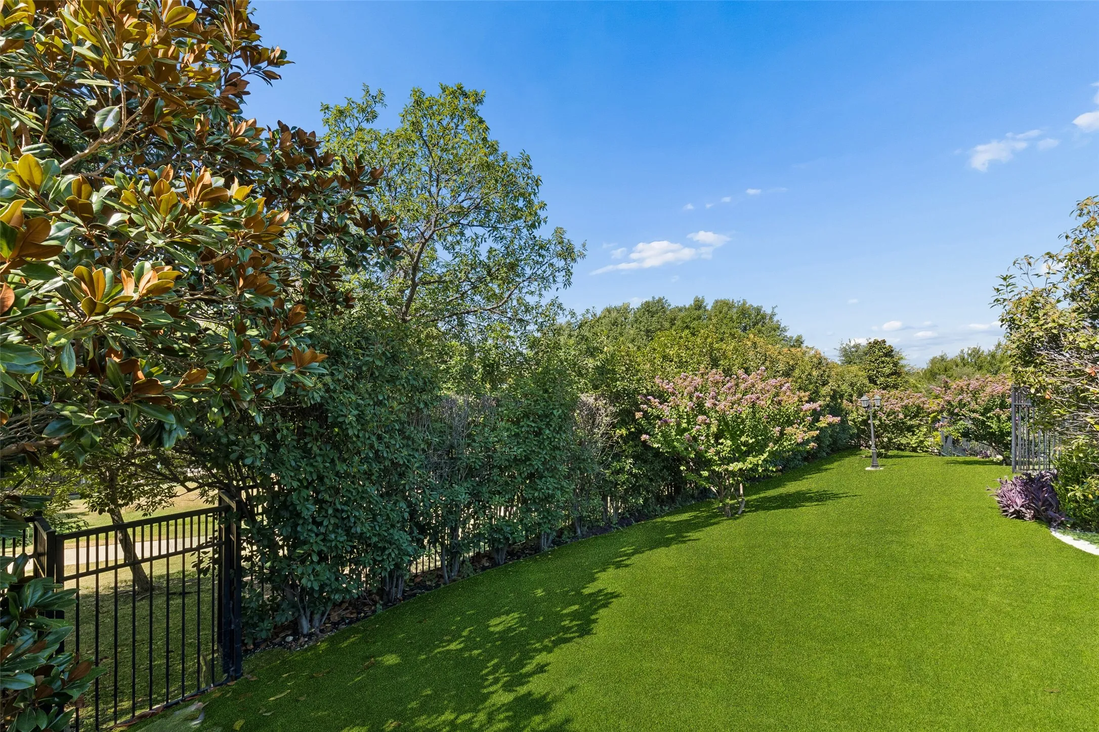 Backyard is covered in turf for year-round green
