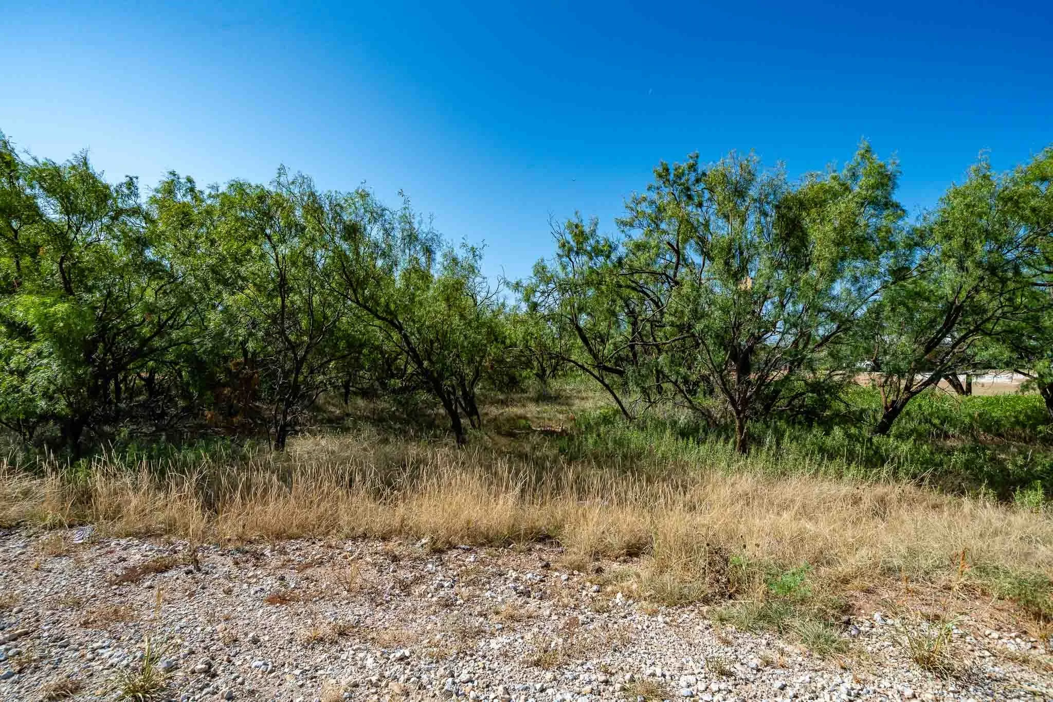 Unimproved Land For Sale in Jones County , TBD FM 3034, Abilene, Texas 79601, 0, 0, Garage spaces, 0 Sqft, built in 0, mls#21362976, Real Estate Agent in Abilene, Homes For Sale in Jones county, Homes For Sale in Abilene, Realtor in Abilene Texas, Real Estate Brokerage Independent Realty Texas, Luminita Cordes Realtor