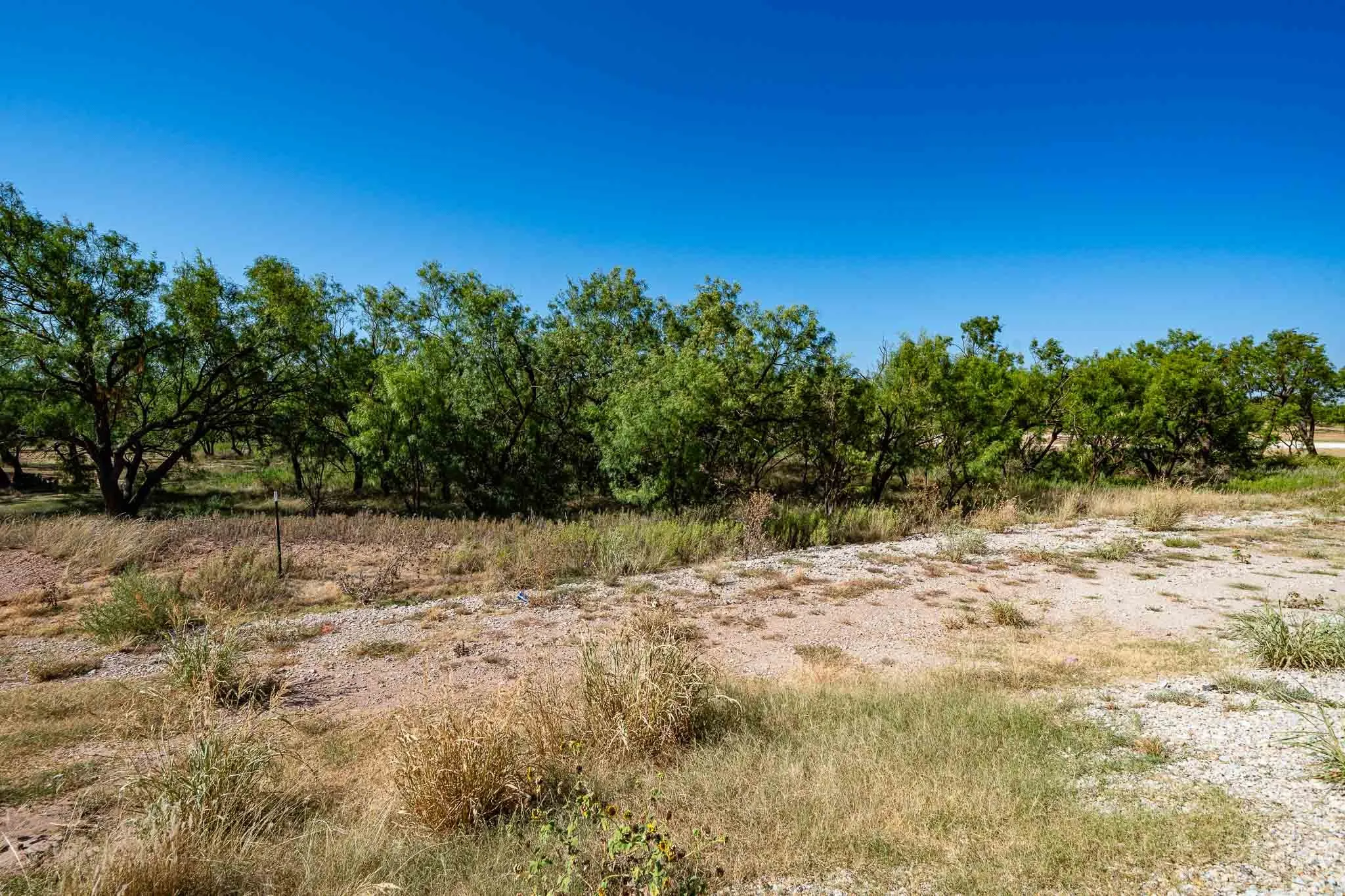 Unimproved Land For Sale in Jones County , TBD FM 3034, Abilene, Texas 79601, 0, 0, Garage spaces, 0 Sqft, built in 0, mls#21362976, Real Estate Agent in Abilene, Homes For Sale in Jones county, Homes For Sale in Abilene, Realtor in Abilene Texas, Real Estate Brokerage Independent Realty Texas, Luminita Cordes Realtor