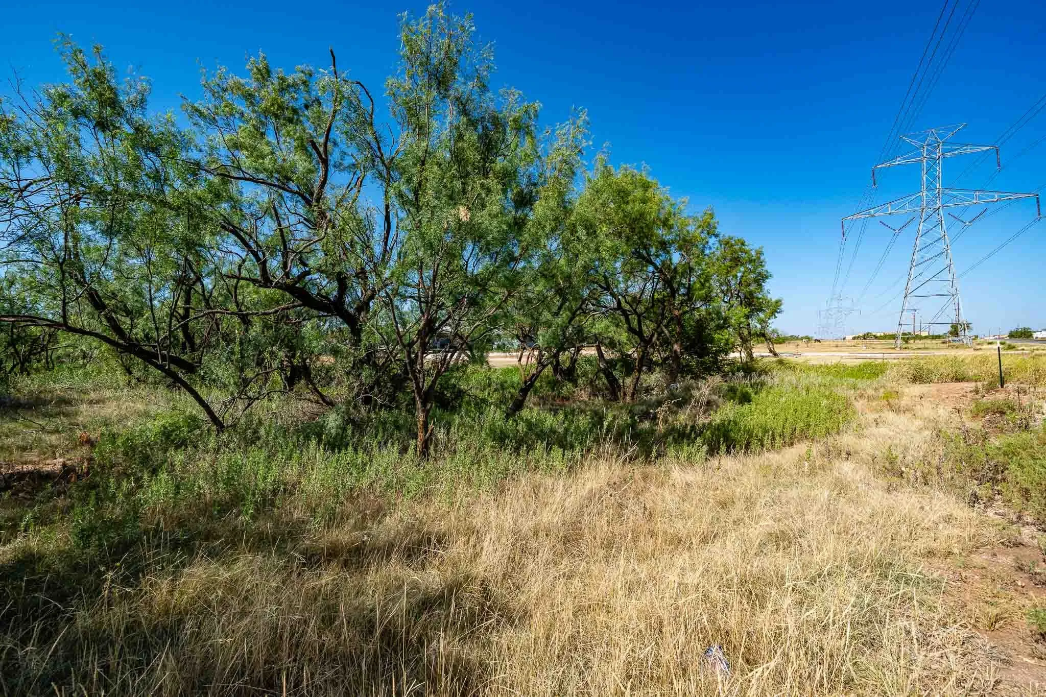 Unimproved Land For Sale in Jones County , TBD FM 3034, Abilene, Texas 79601, 0, 0, Garage spaces, 0 Sqft, built in 0, mls#21362976, Real Estate Agent in Abilene, Homes For Sale in Jones county, Homes For Sale in Abilene, Realtor in Abilene Texas, Real Estate Brokerage Independent Realty Texas, Luminita Cordes Realtor