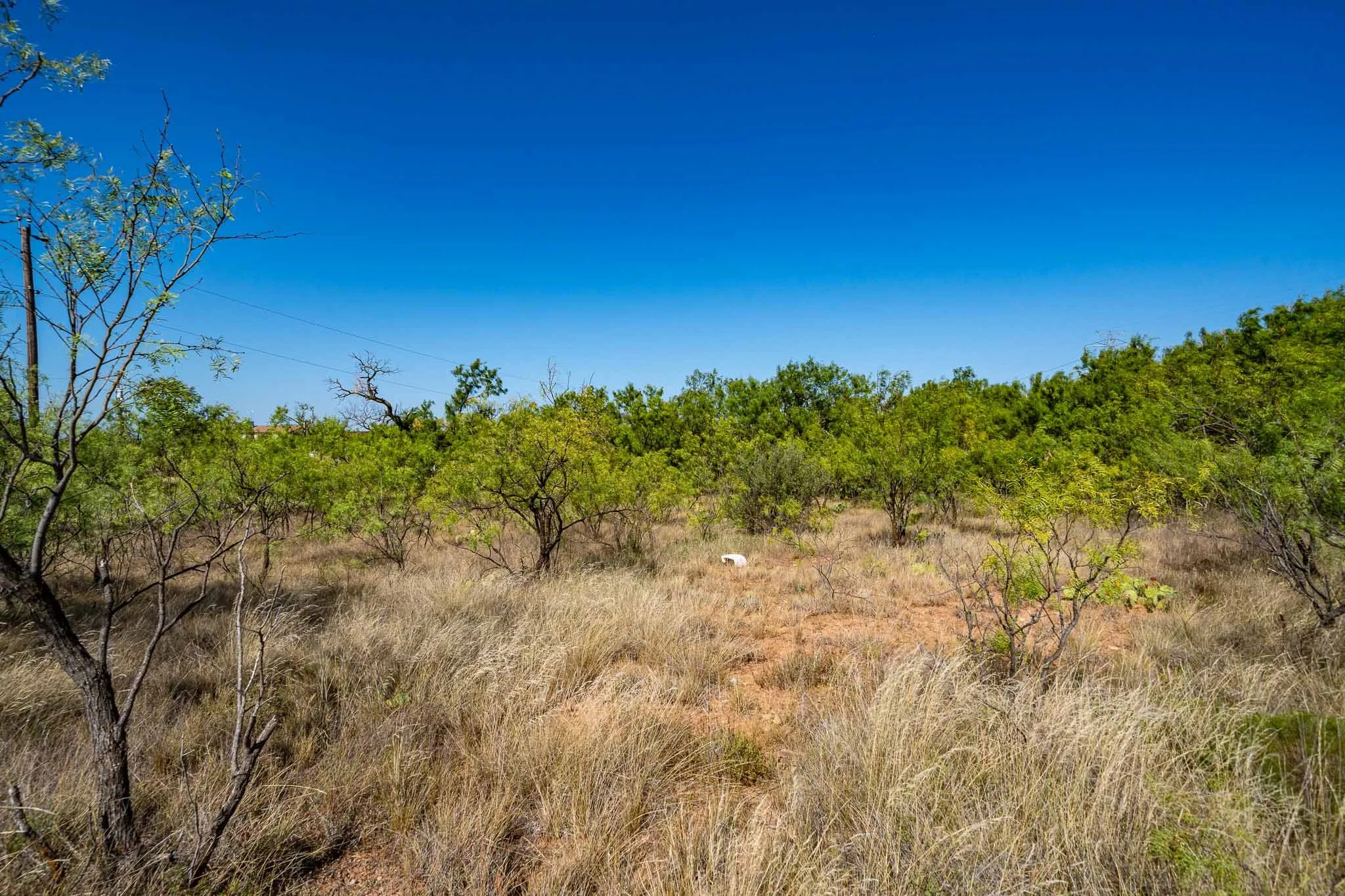 Unimproved Land For Sale in Jones County , TBD FM 3034, Abilene, Texas 79601, 0, 0, Garage spaces, 0 Sqft, built in 0, mls#21362976, Real Estate Agent in Abilene, Homes For Sale in Jones county, Homes For Sale in Abilene, Realtor in Abilene Texas, Real Estate Brokerage Independent Realty Texas, Luminita Cordes Realtor