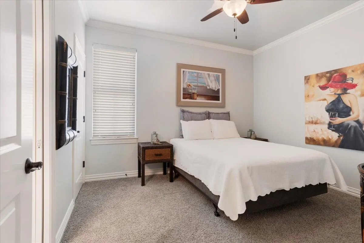 Light gray wall paint, textured gray carpeting, crown molding, a ceiling fan with light fixture, and a window with blinds