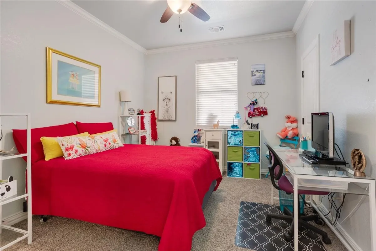 Room featuring a ceiling fan, crown molding, and carpet flooring